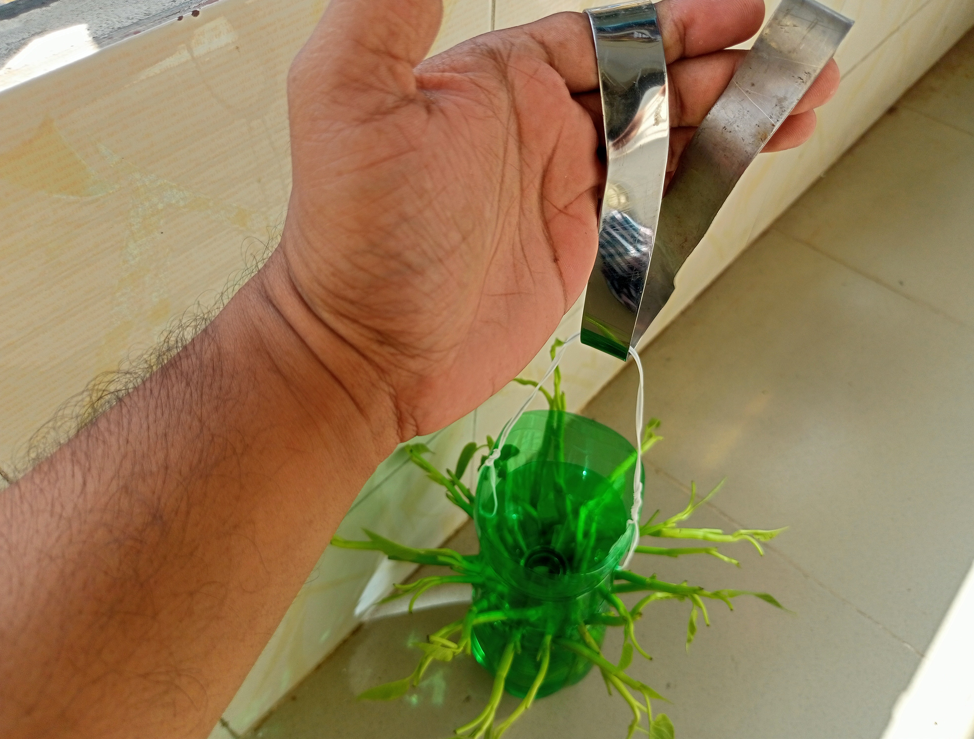 IMG20220921145722~2.jpg