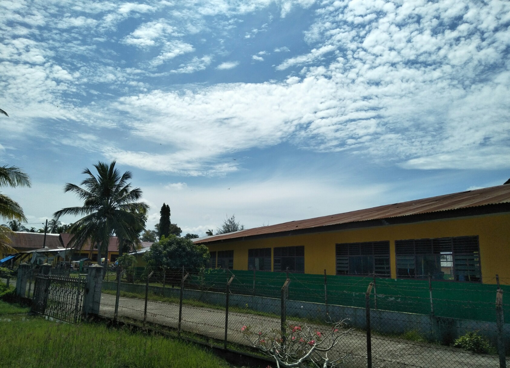 IMG_20210922_231254.jpg