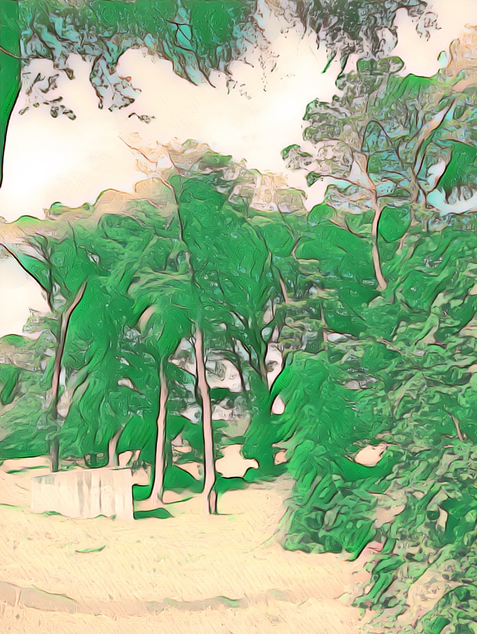 A5E5884E-25C8-41CA-B143-E7F90A599789.JPEG
