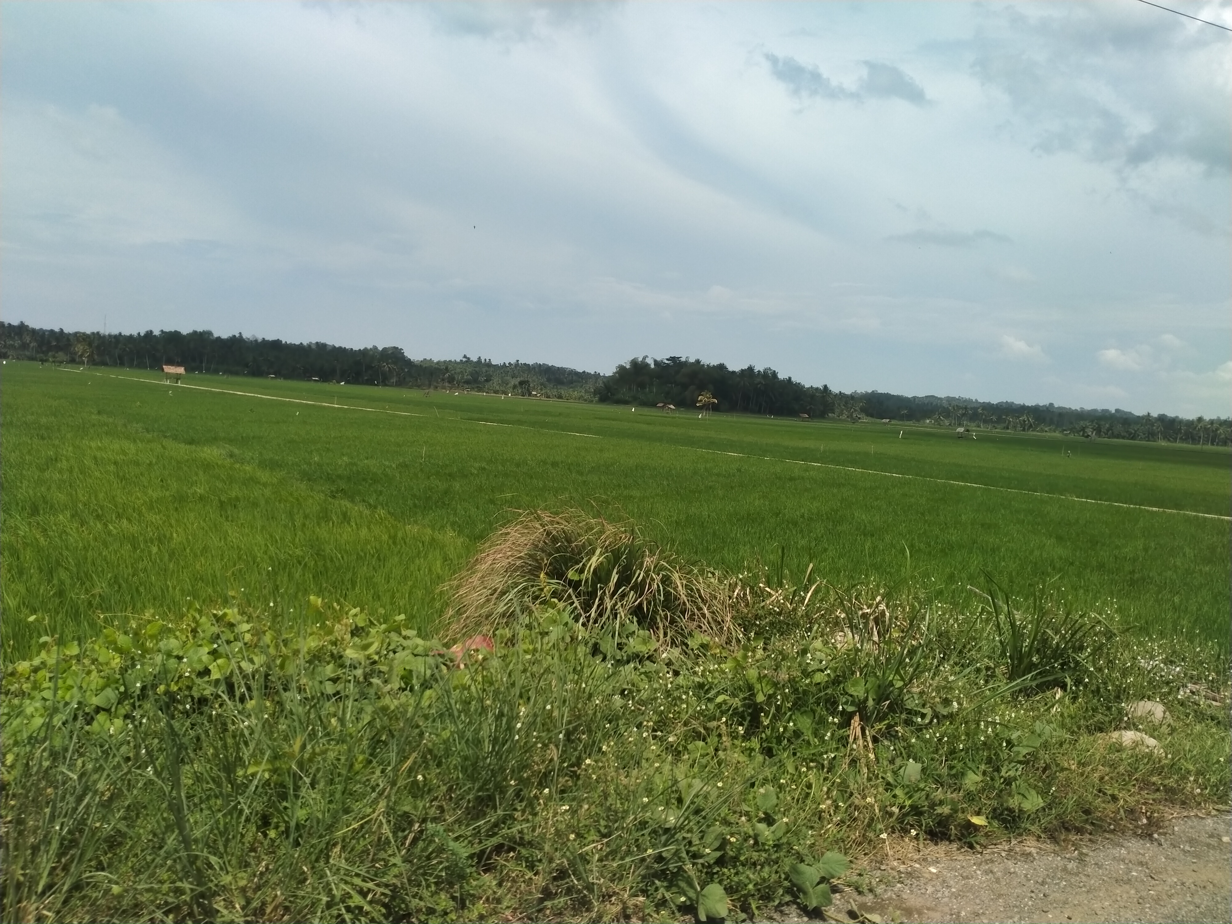 IMG20250225142137.jpg