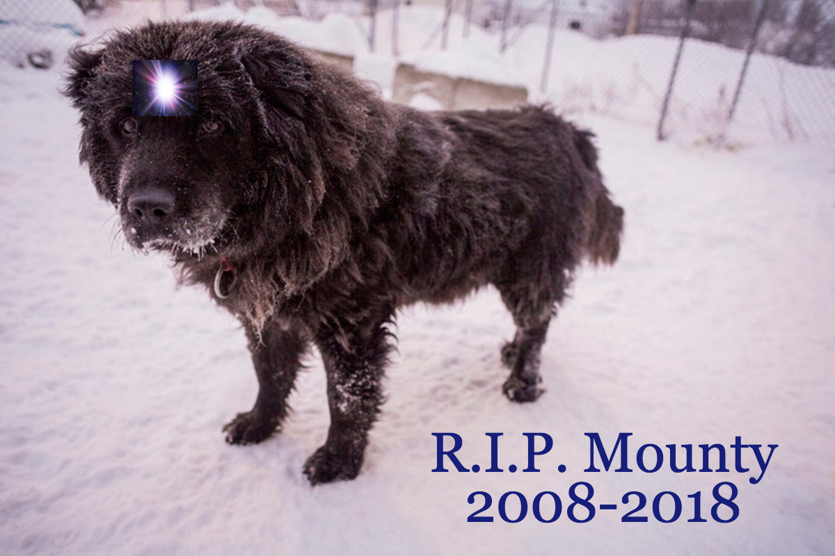 RIP MOUNTY.jpg