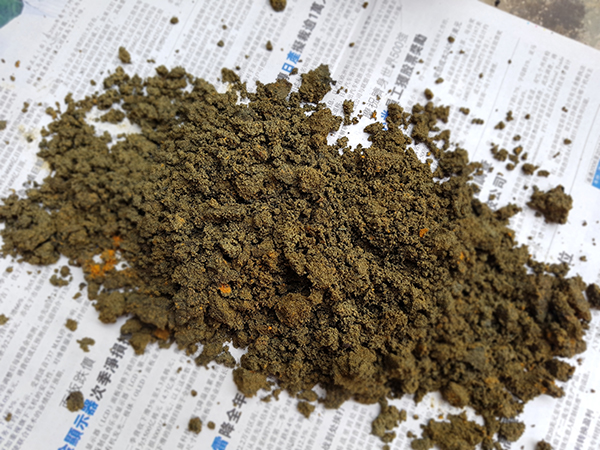 Compost09.jpg