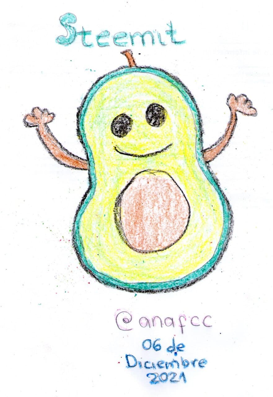 Aguacate Ana.jpg