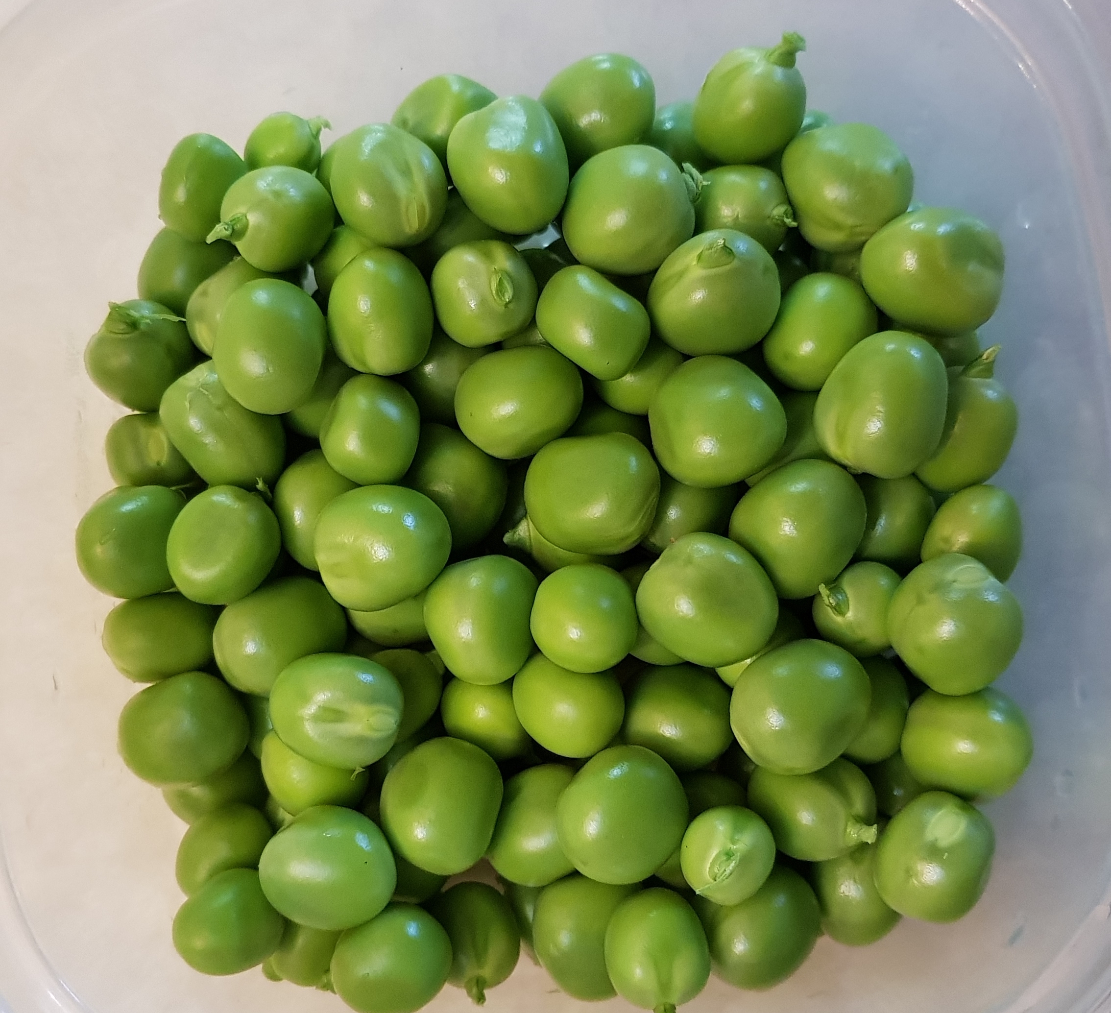 20180610_223853.jpg