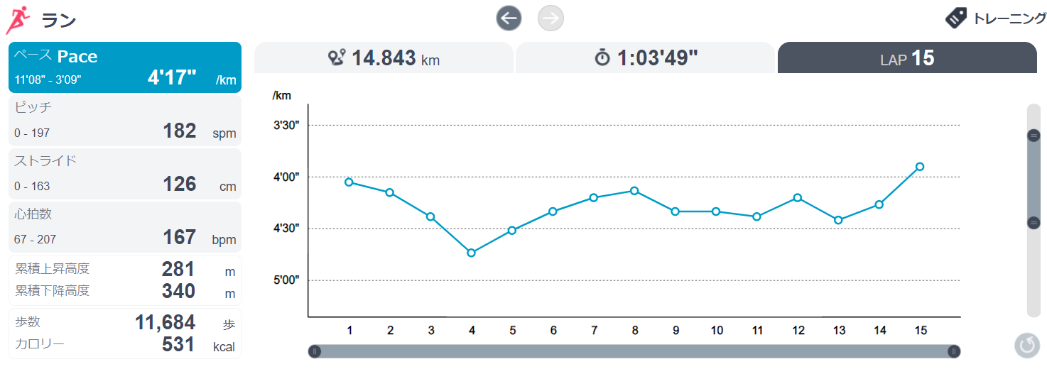 running20200102pace.png