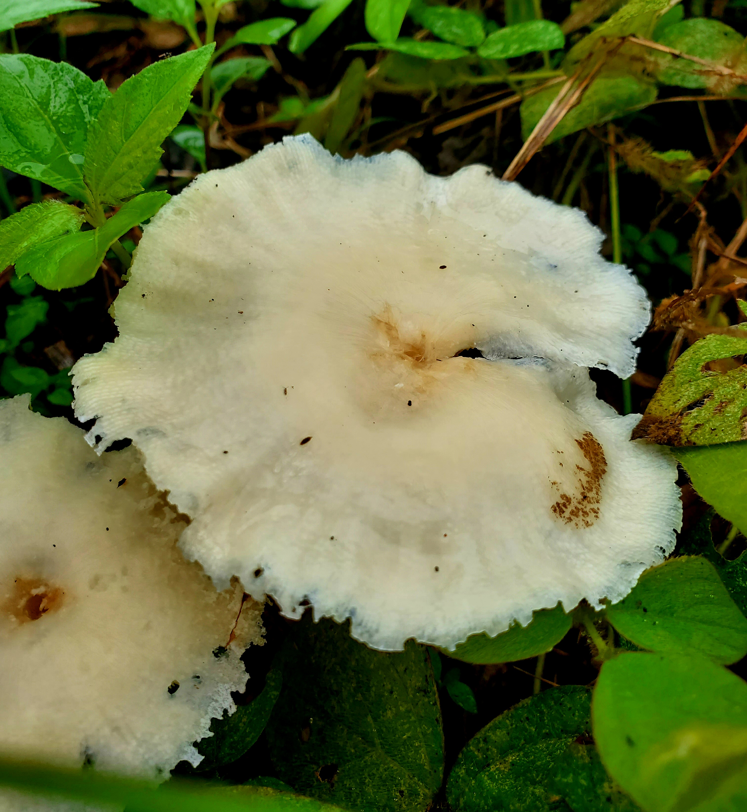20220820_112622.jpg