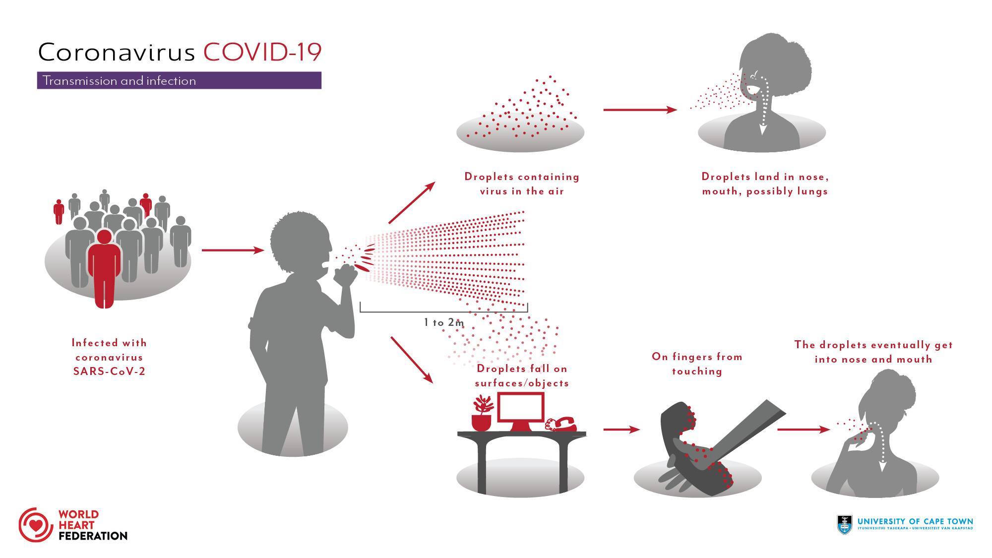 Coronavirus-transmission.jpg