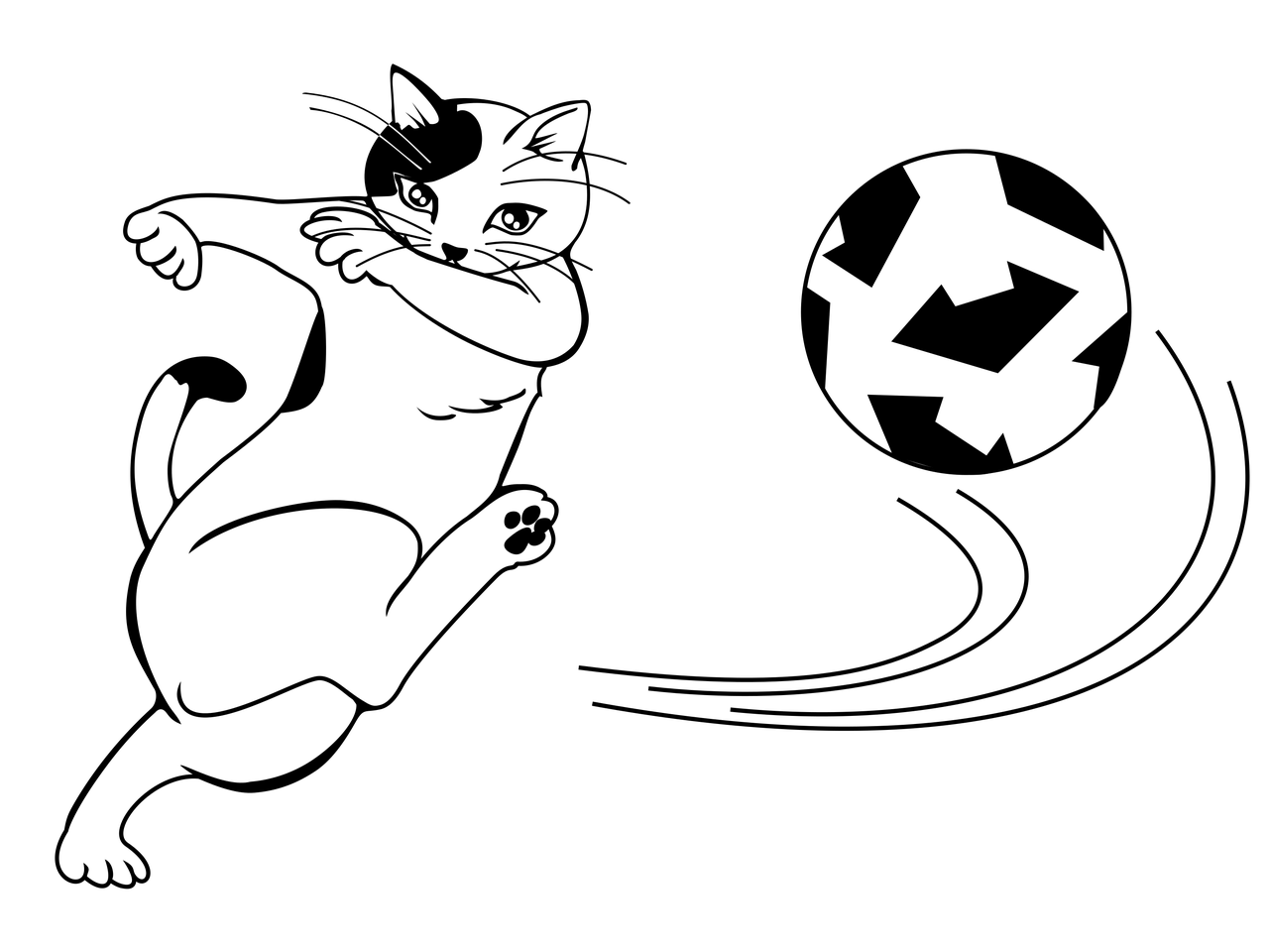 football-3498384_1280.png