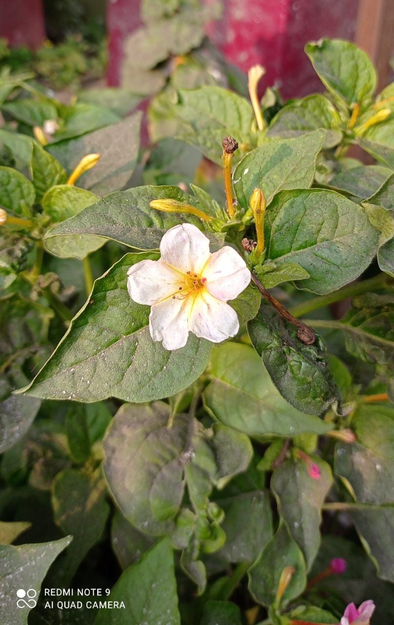 WhatsApp Image 2023-01-09 at 11.37.55 PM (1).jpeg