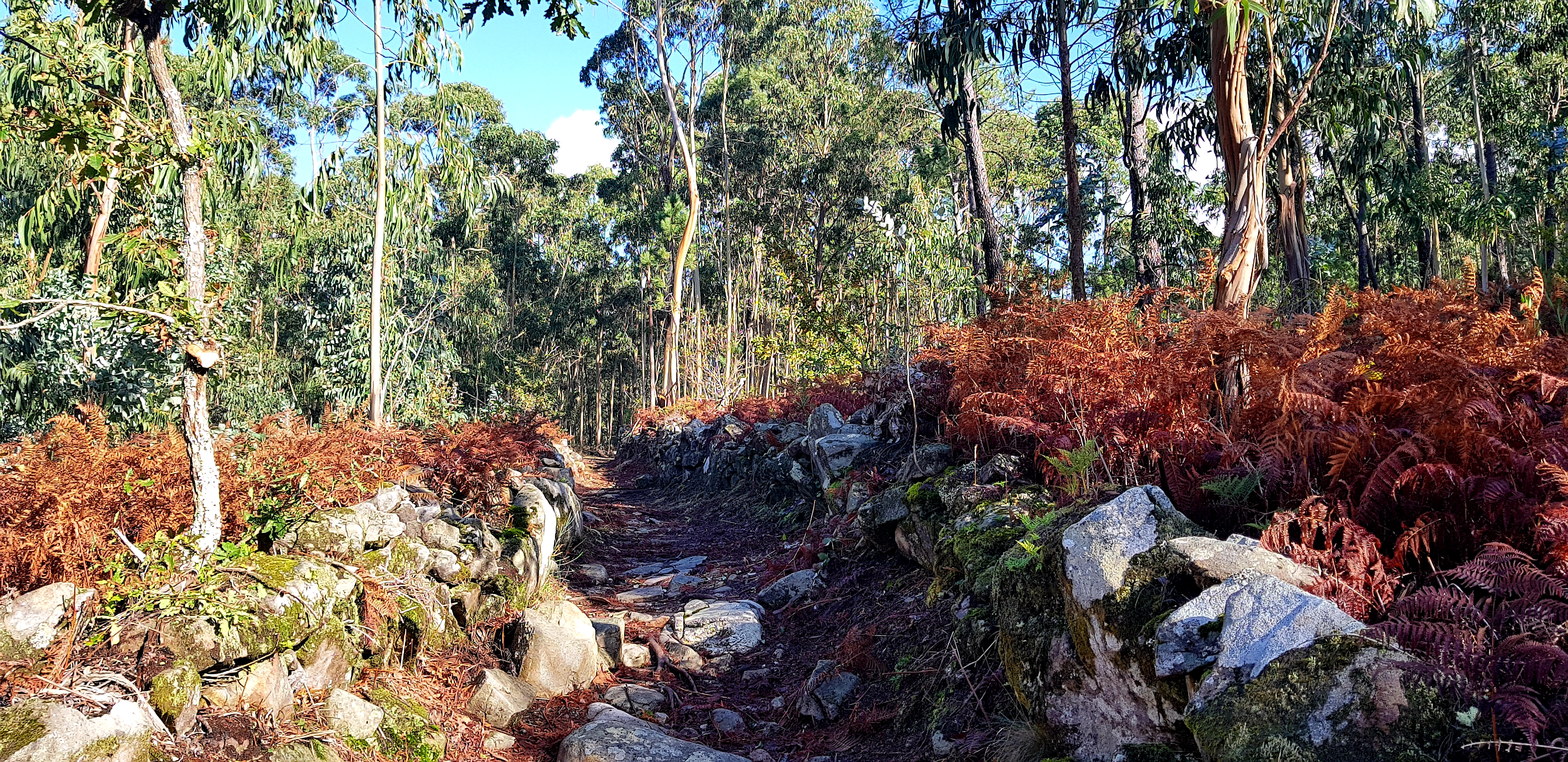20181112_171735.jpg