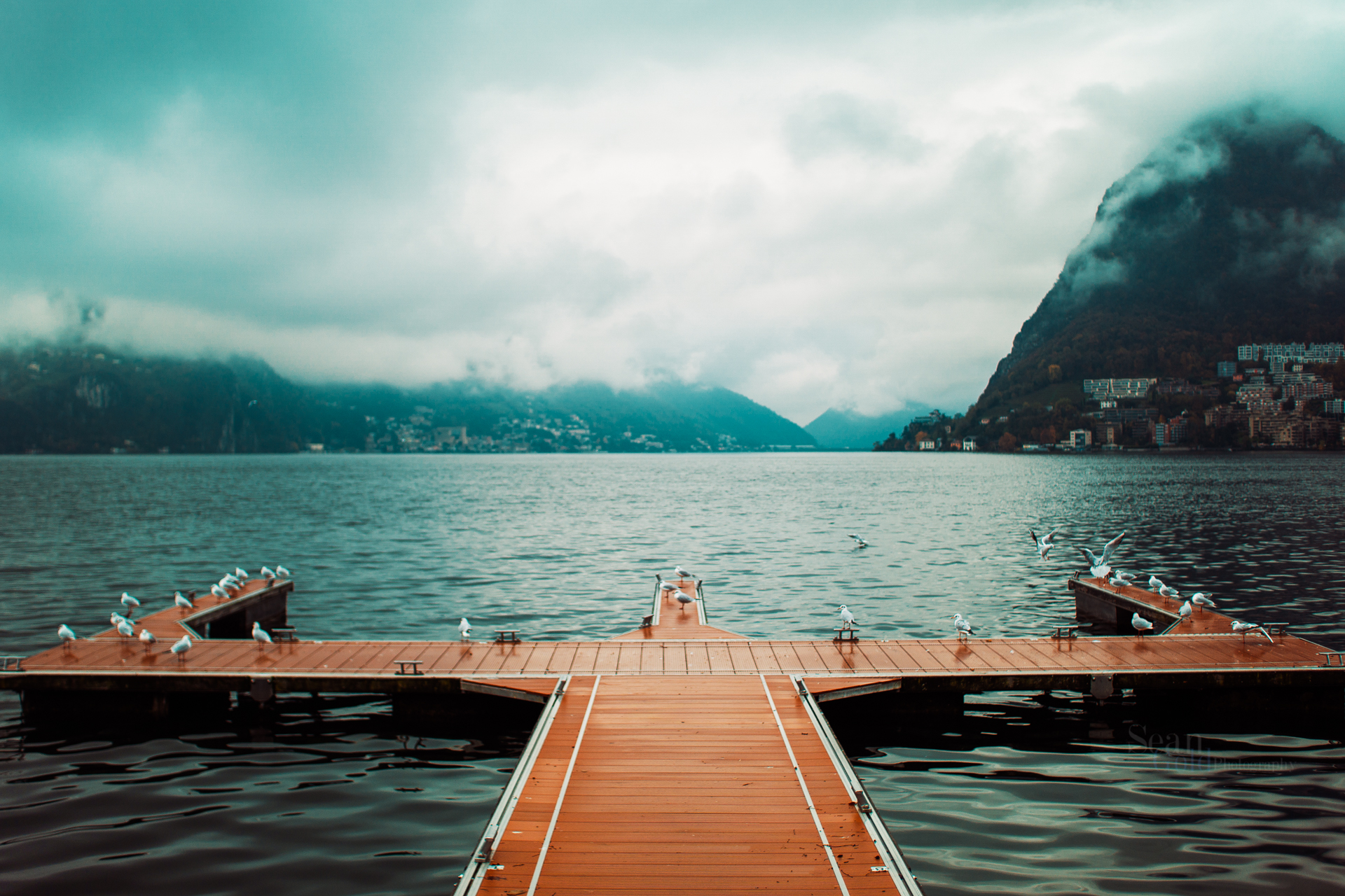 Sean_Gold_November 10, 2018_56505-Edit-WebExport.jpg