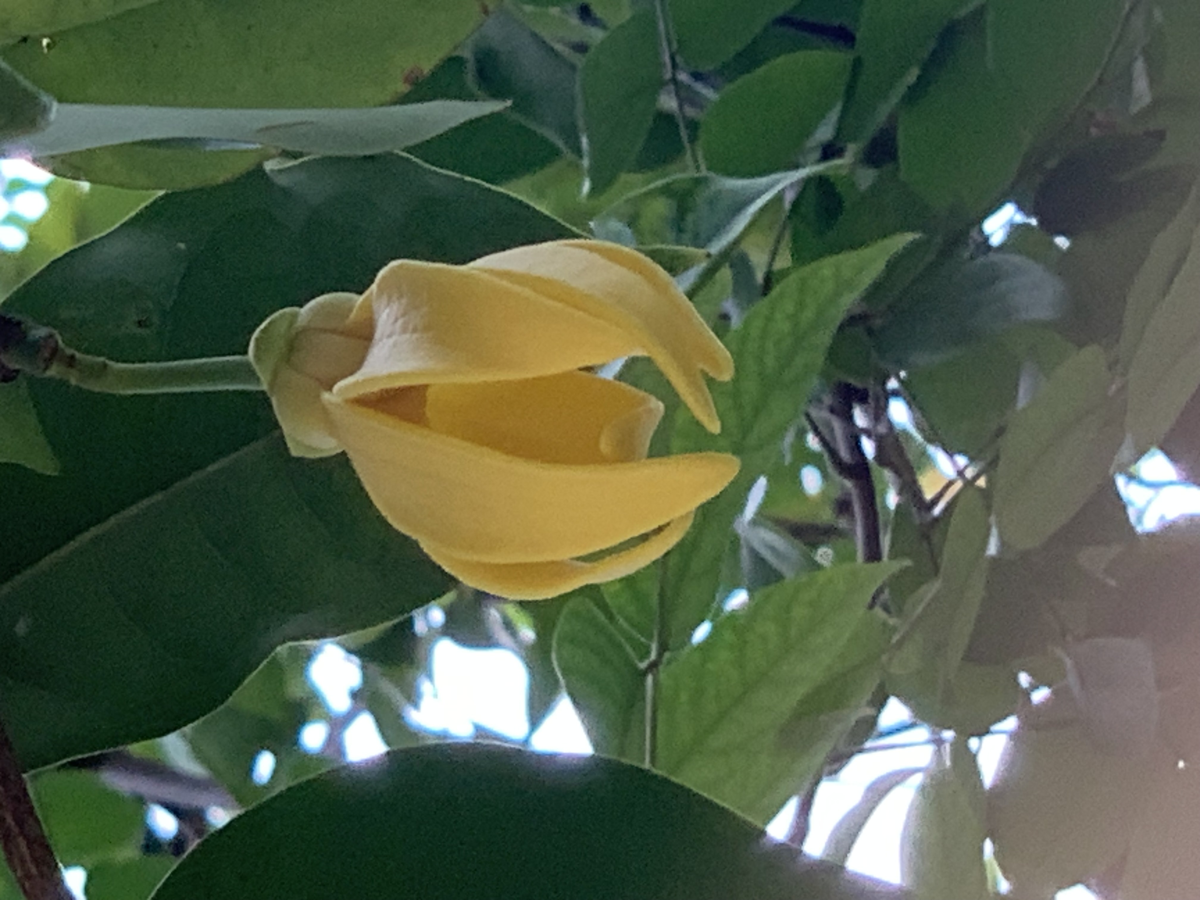 nature706.jpg