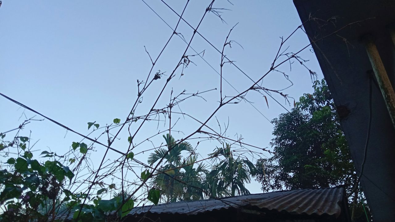 IMG_20251217_113840_889.jpg