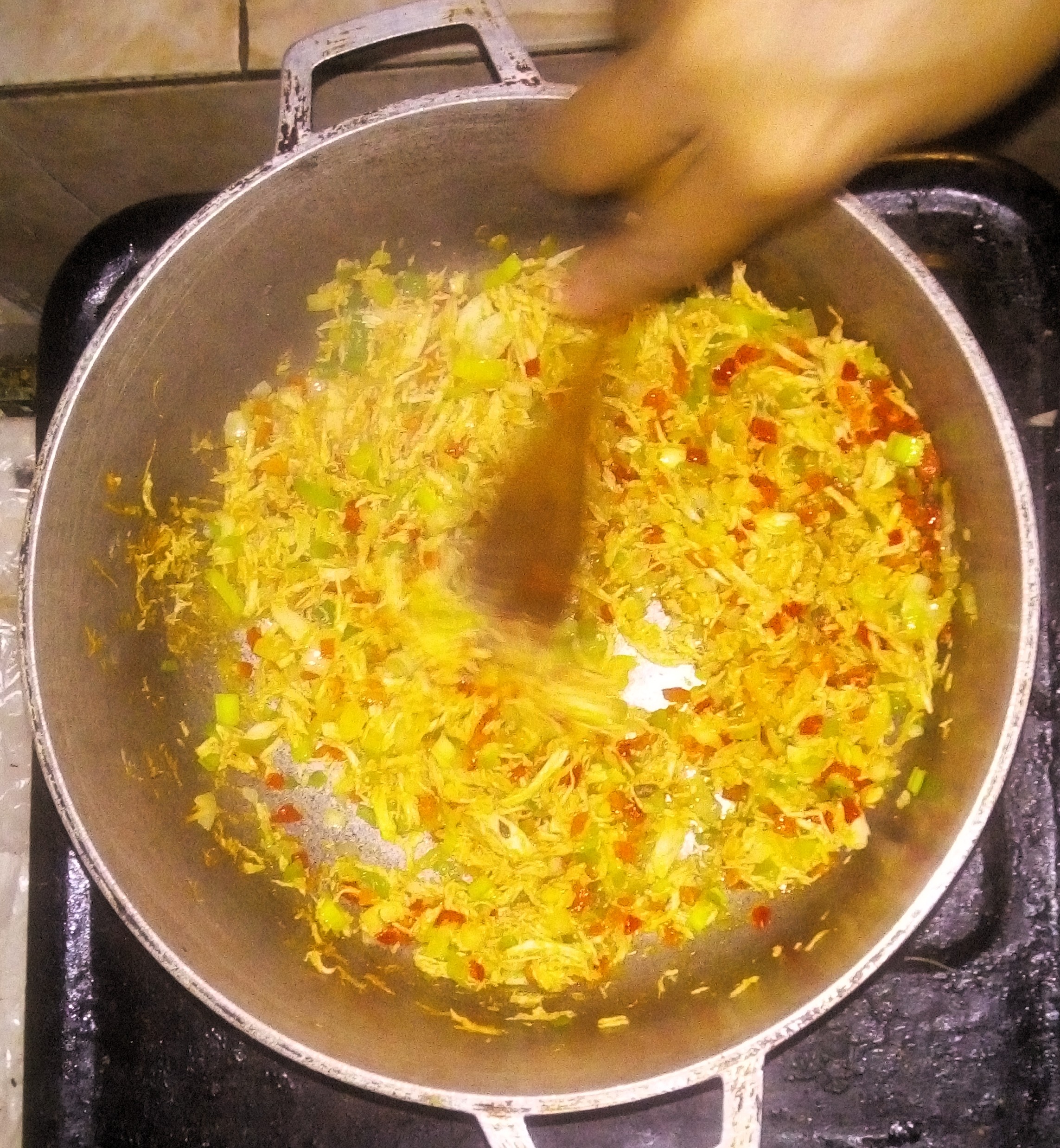 Pollo 3.jpg