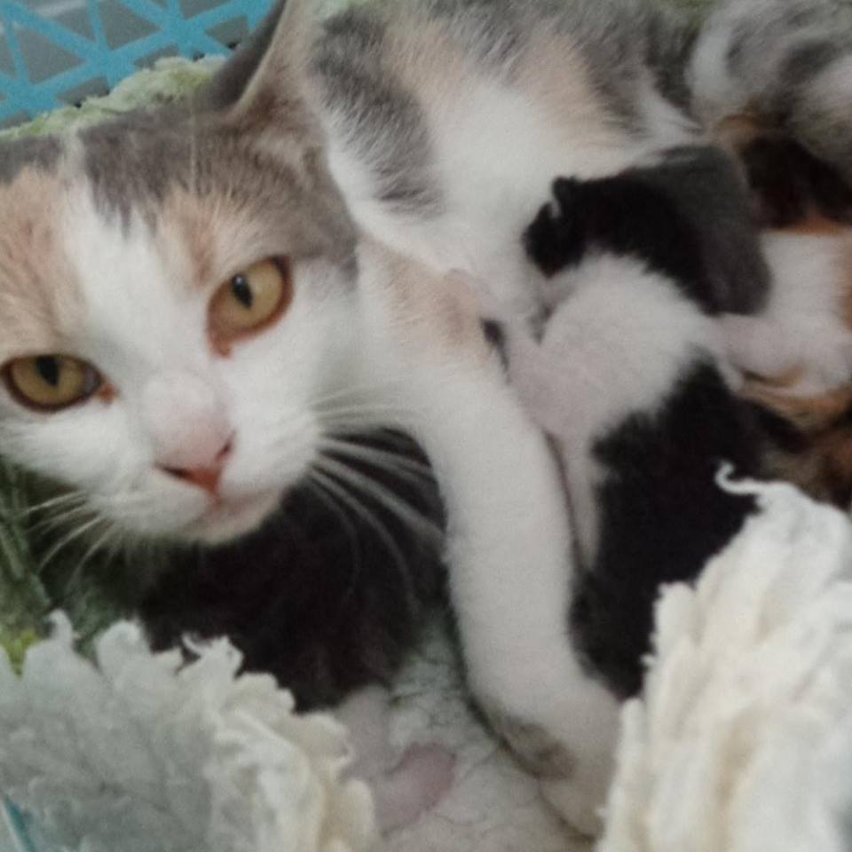 14117800_10210814885117807_549124148565652418_n (1).jpg