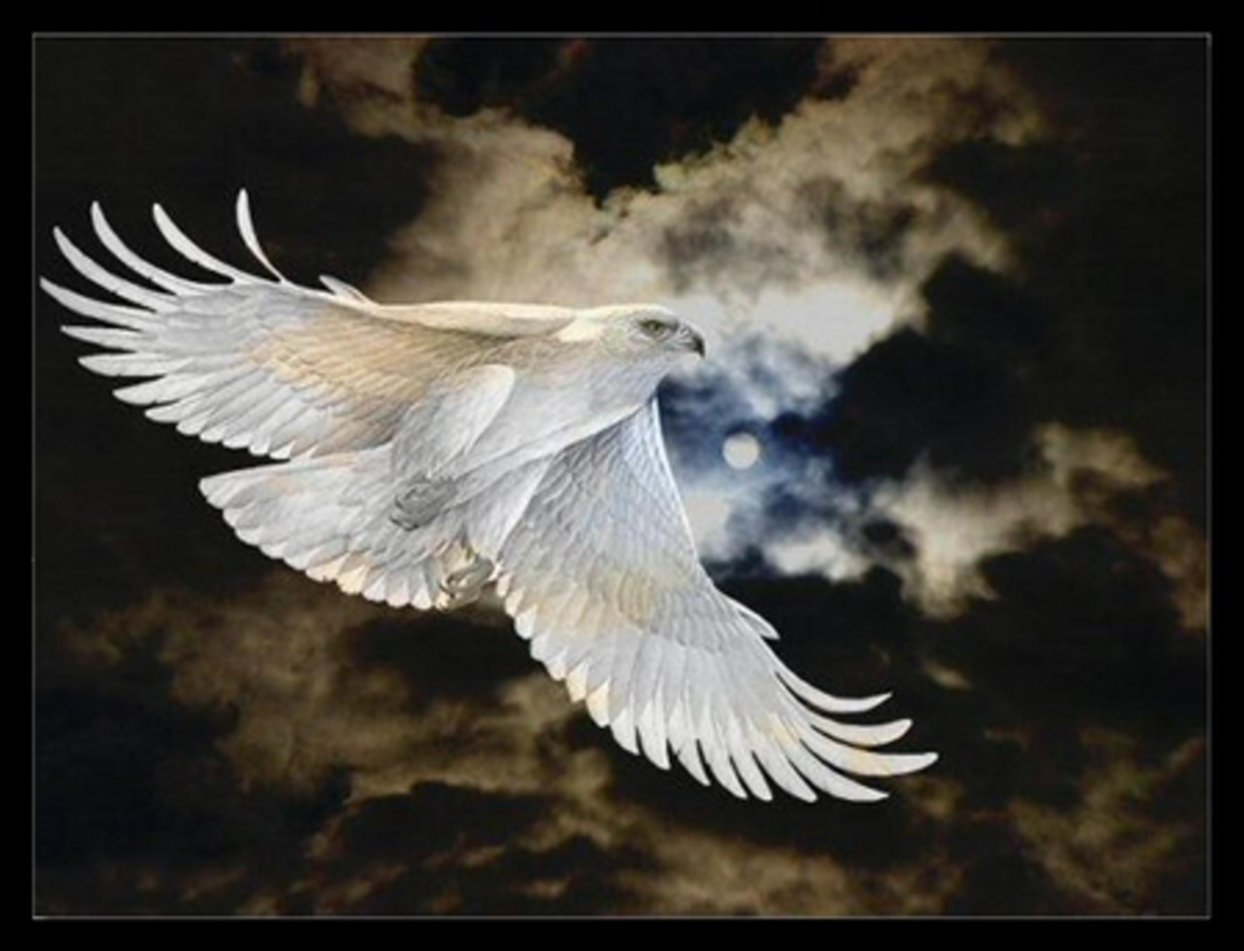 Белая птица новое чудо сюжет. Белый Орел в полете. Орел в небе. Белый Орел в небе. Орел в полете живопись.