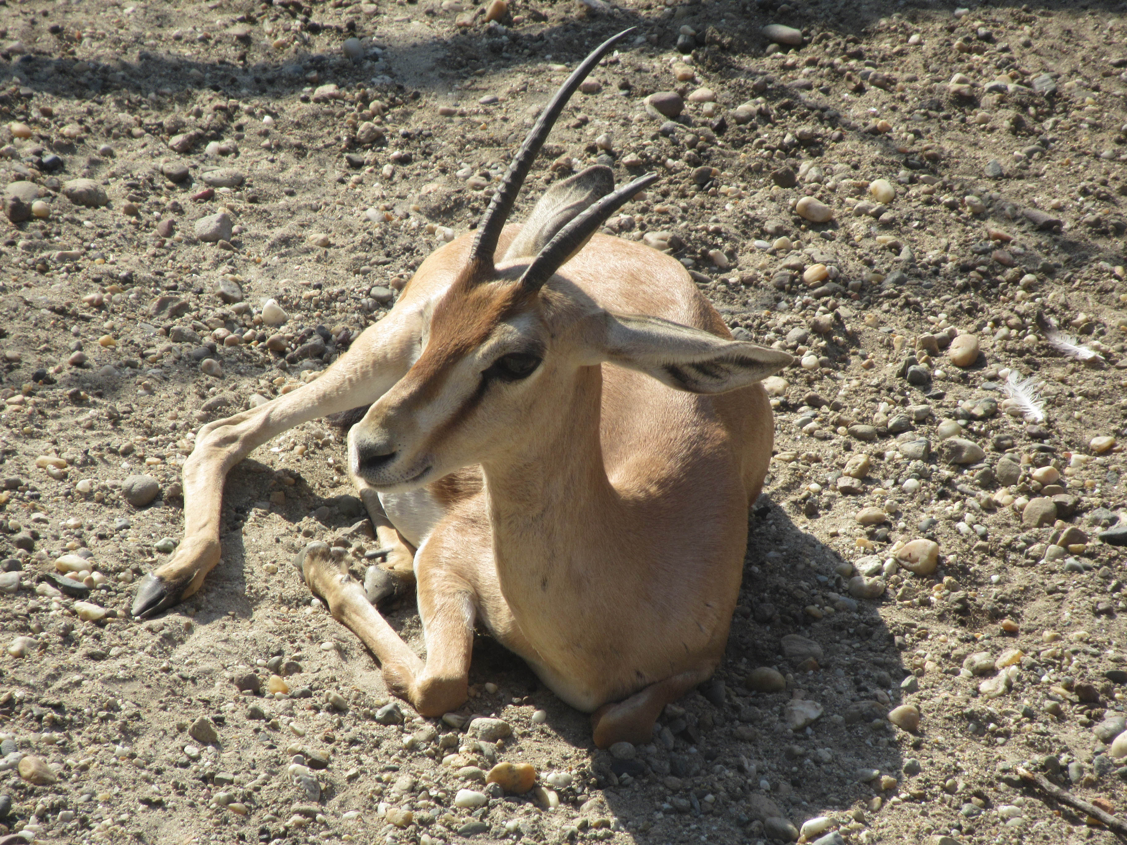 IMG_8507.jpg