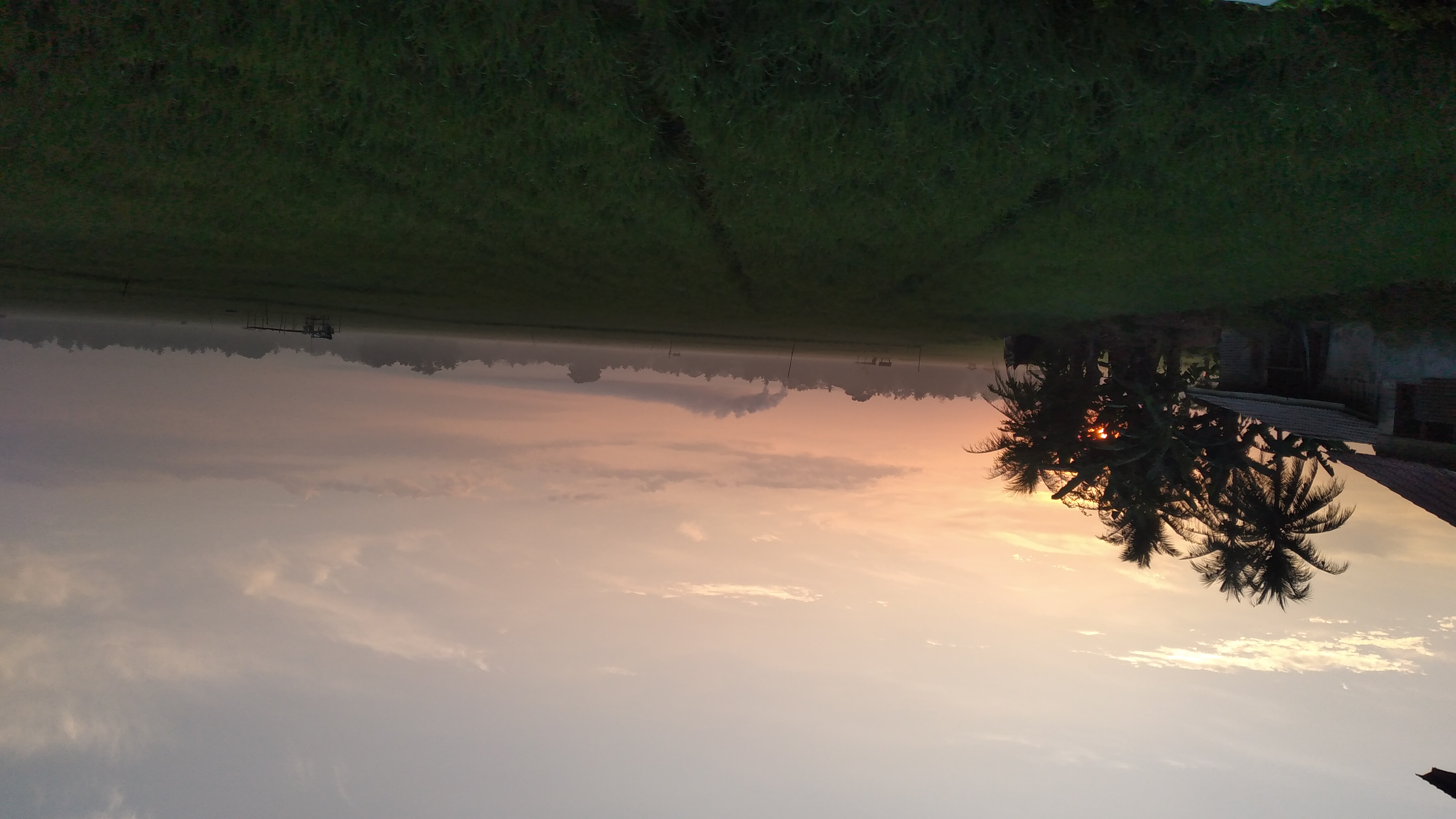 20240324_064736.jpg
