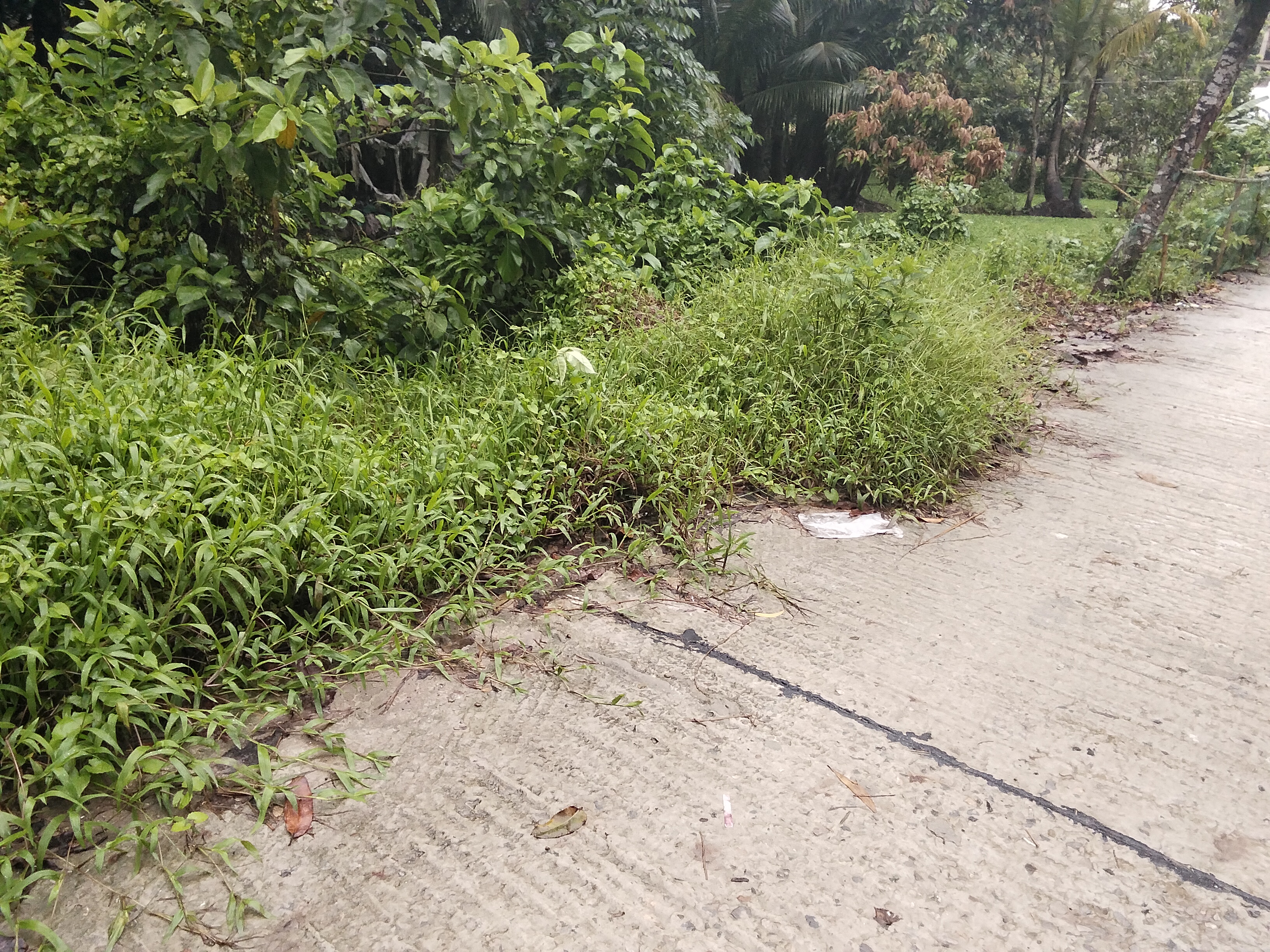 1000086790.jpg