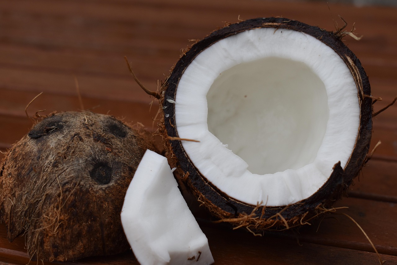 coconut-5596391_1280.jpg