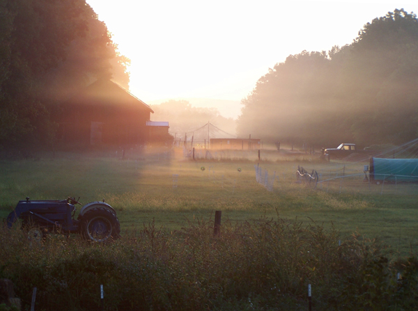 Cloudy sunrise4 crop September 2019.jpg