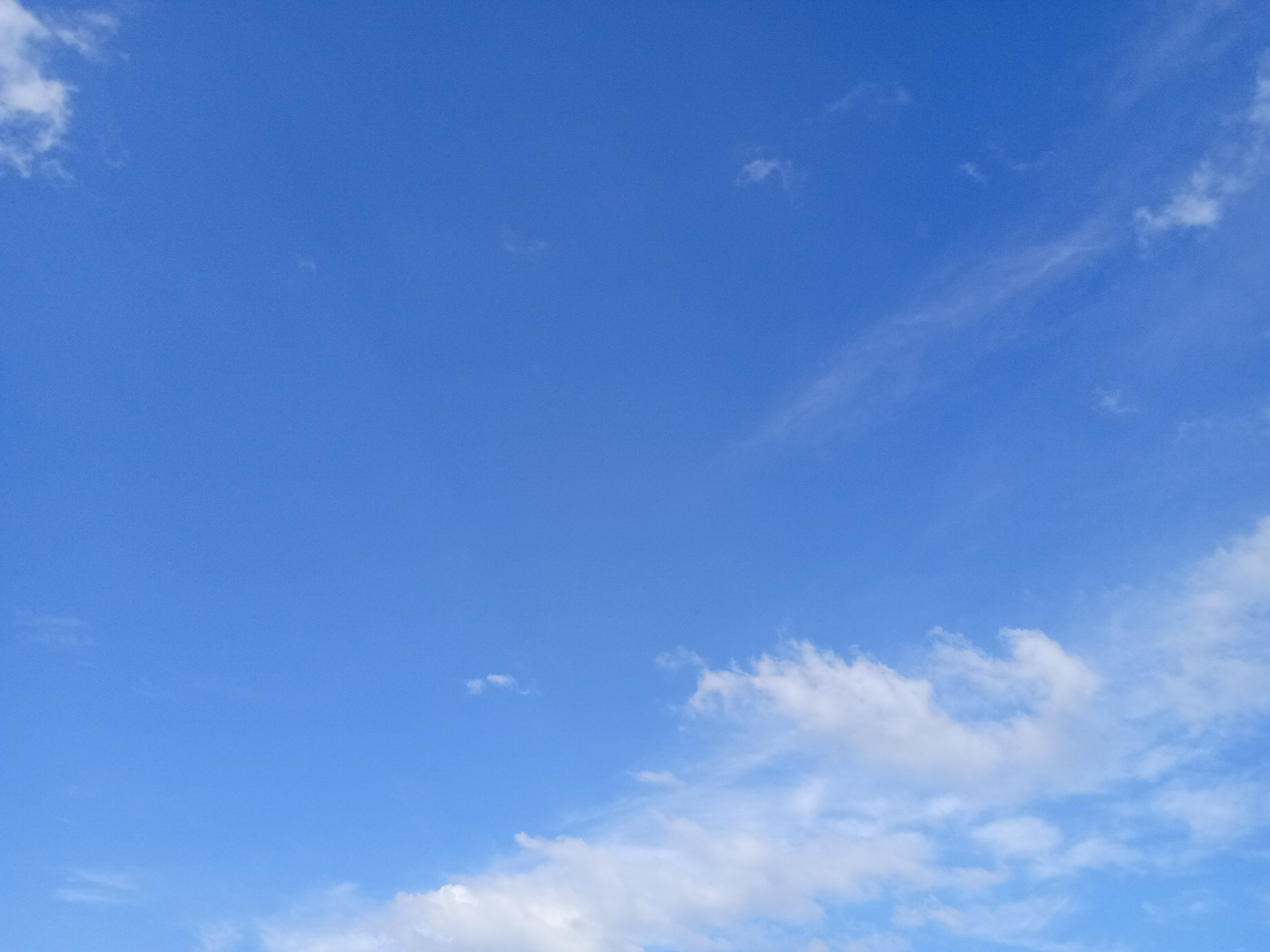 IMG20210615164503.jpg
