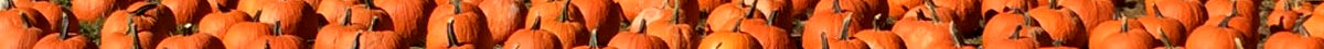 slide-pumpkins.jpg