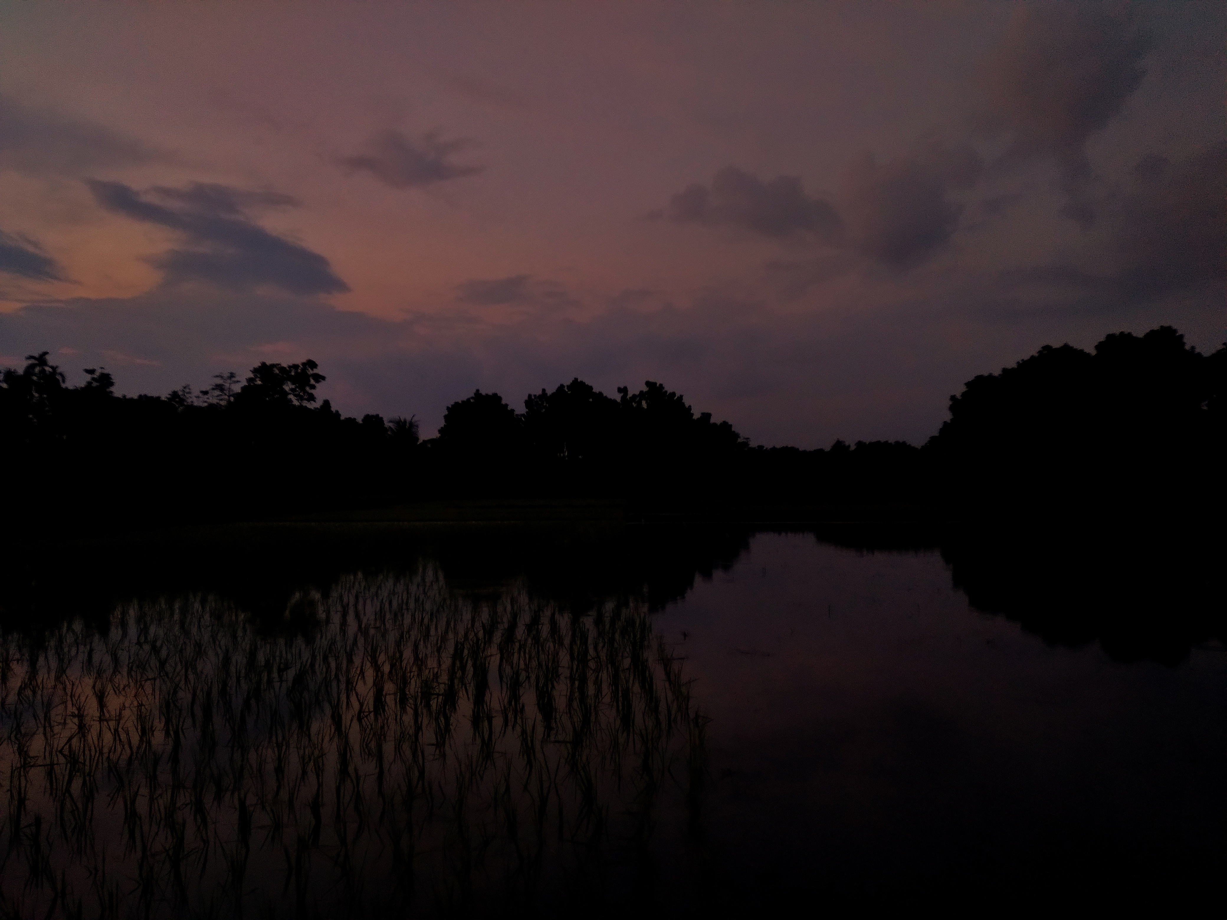 20220727_190216-01.jpeg