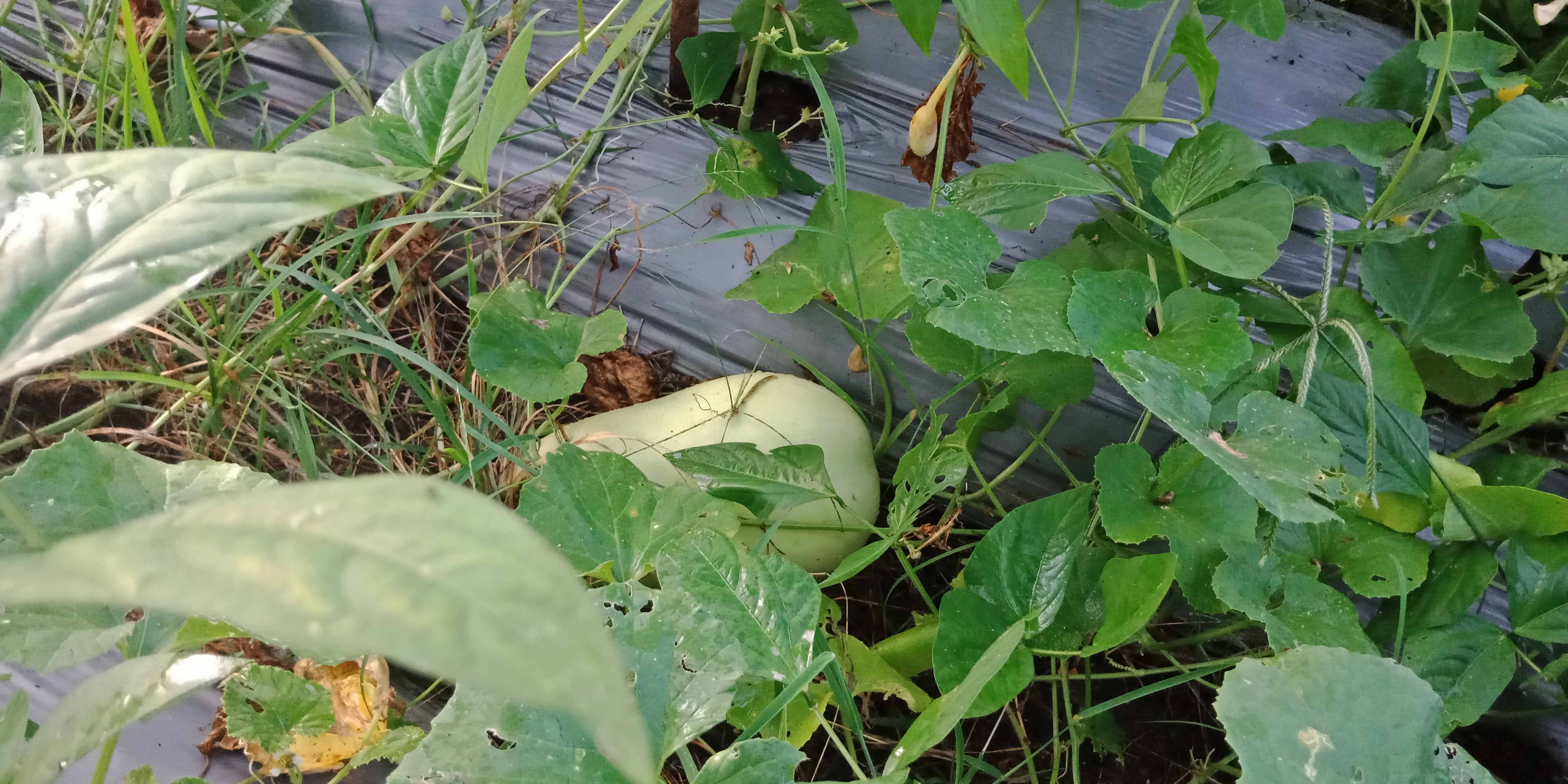 IMG20210503182216.jpg