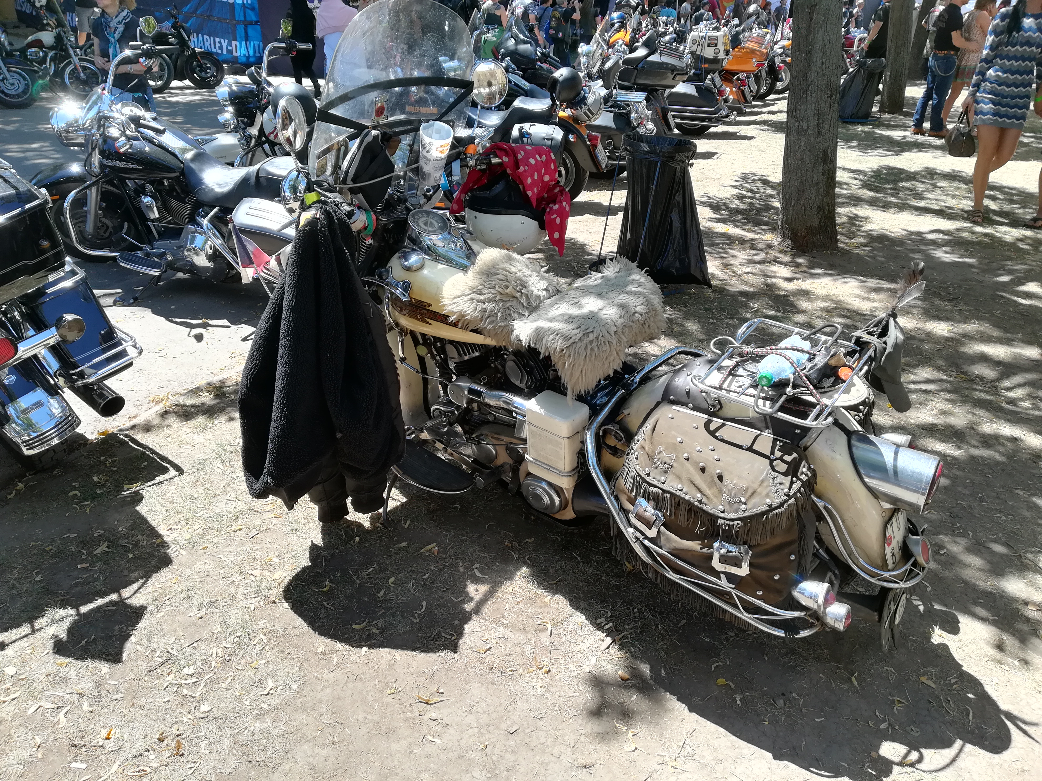 IMG_20180707_130517.jpg