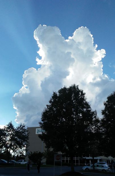 20180917_170820.jpg