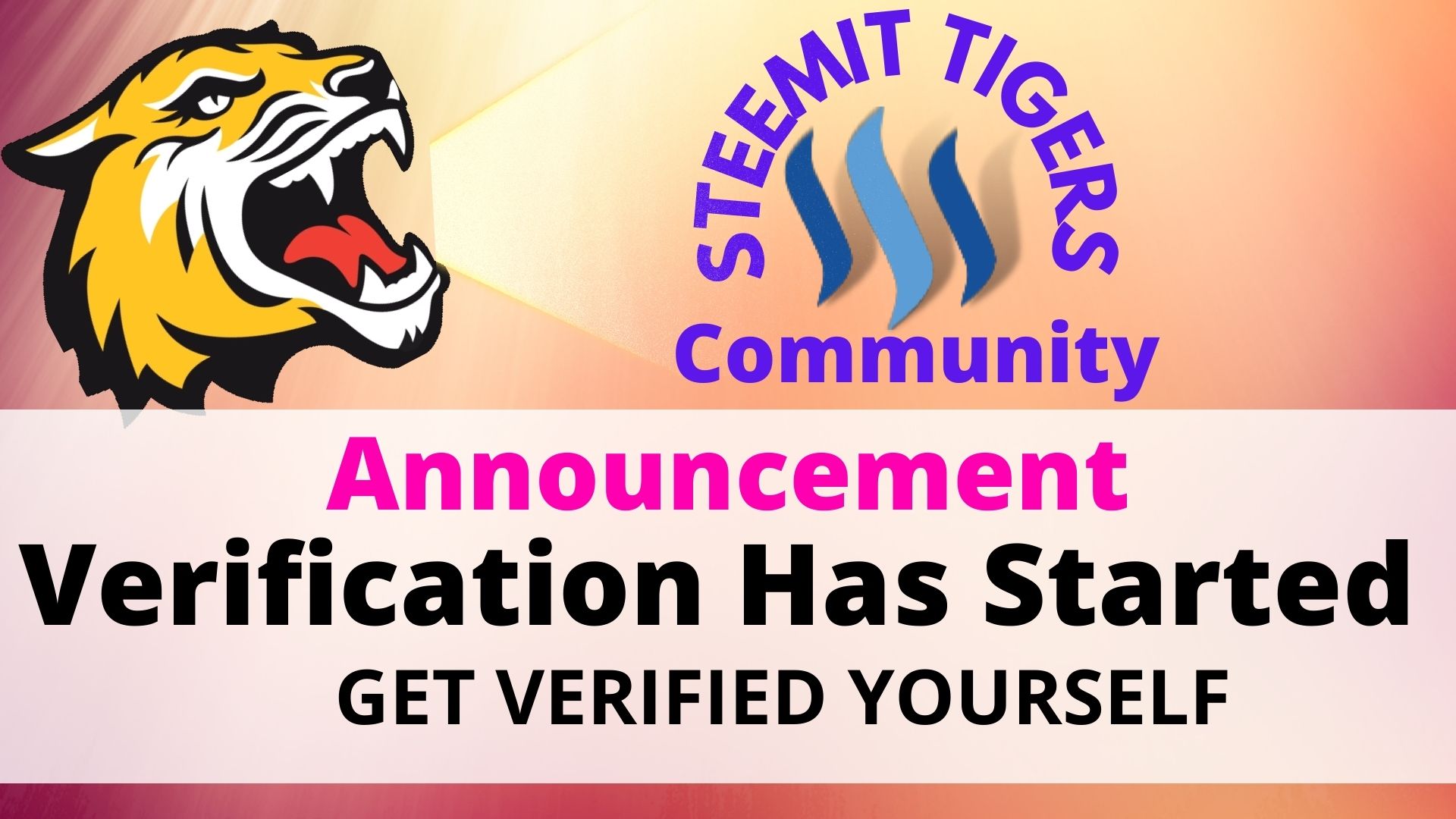 STEEMIT TIGERS (3).jpg