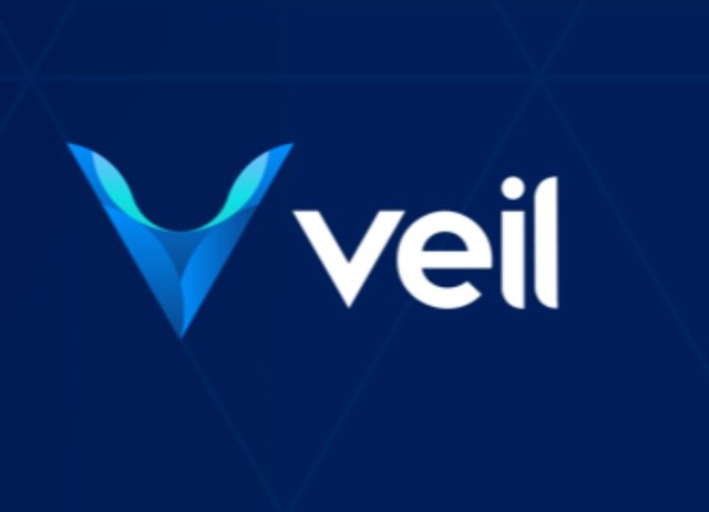 veil 1.jpg