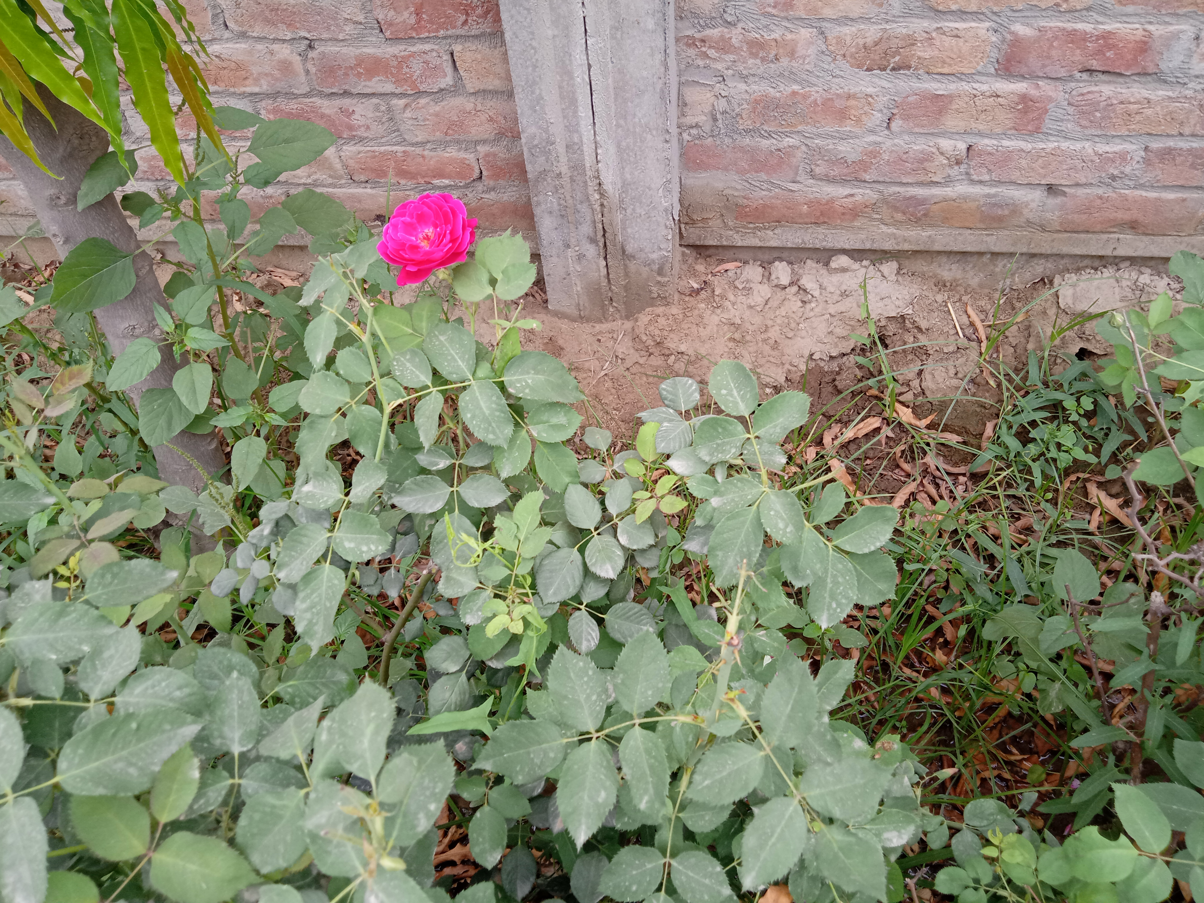 IMG20210506094313.jpg