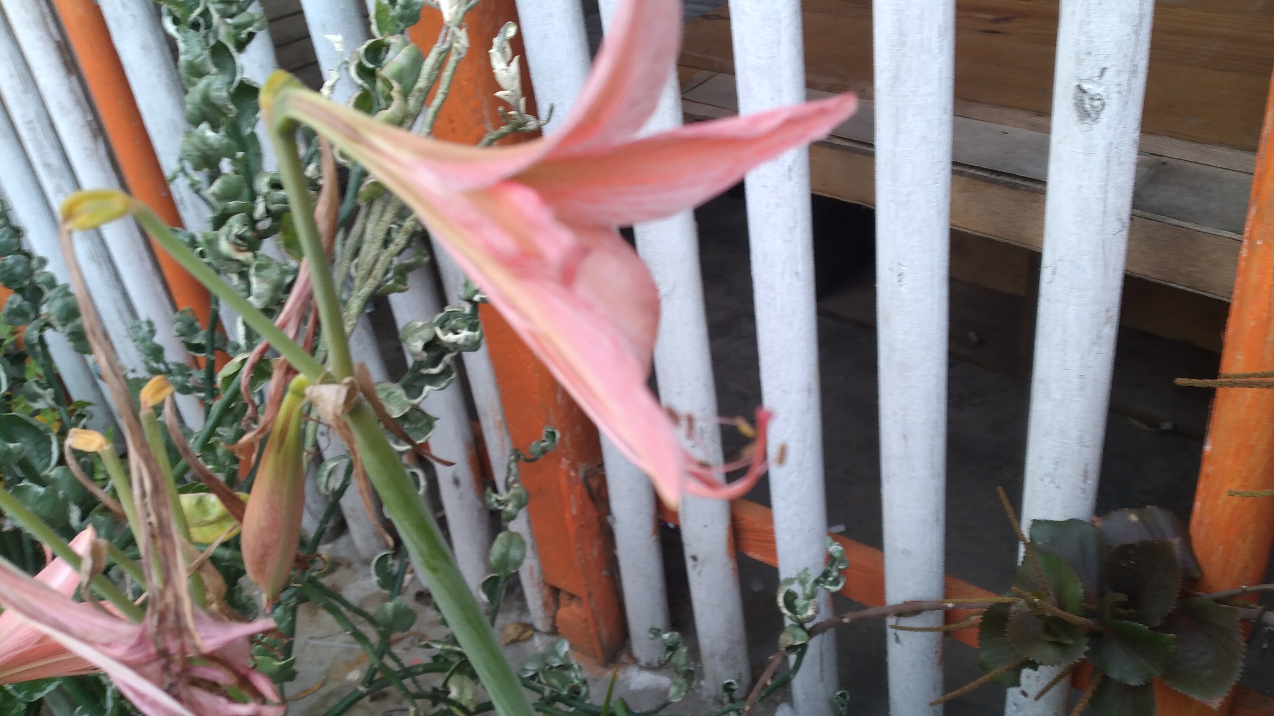 20240423_074819.jpg