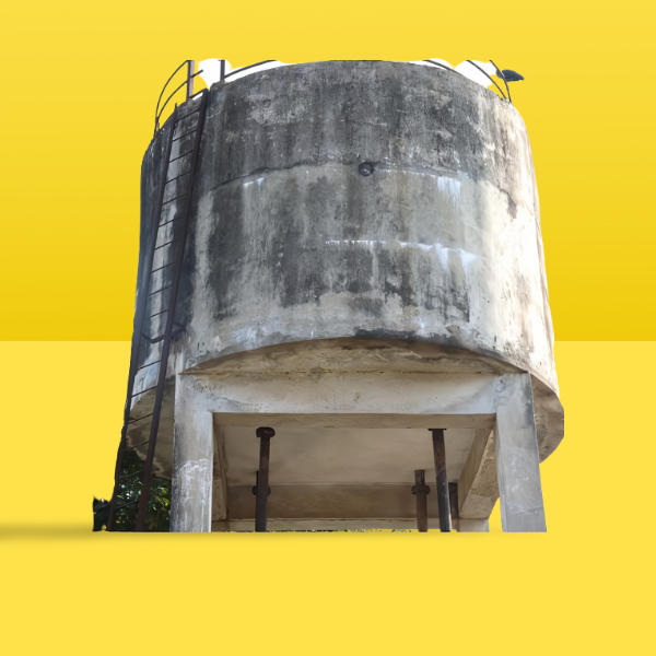 mustard-yellow-designify.png