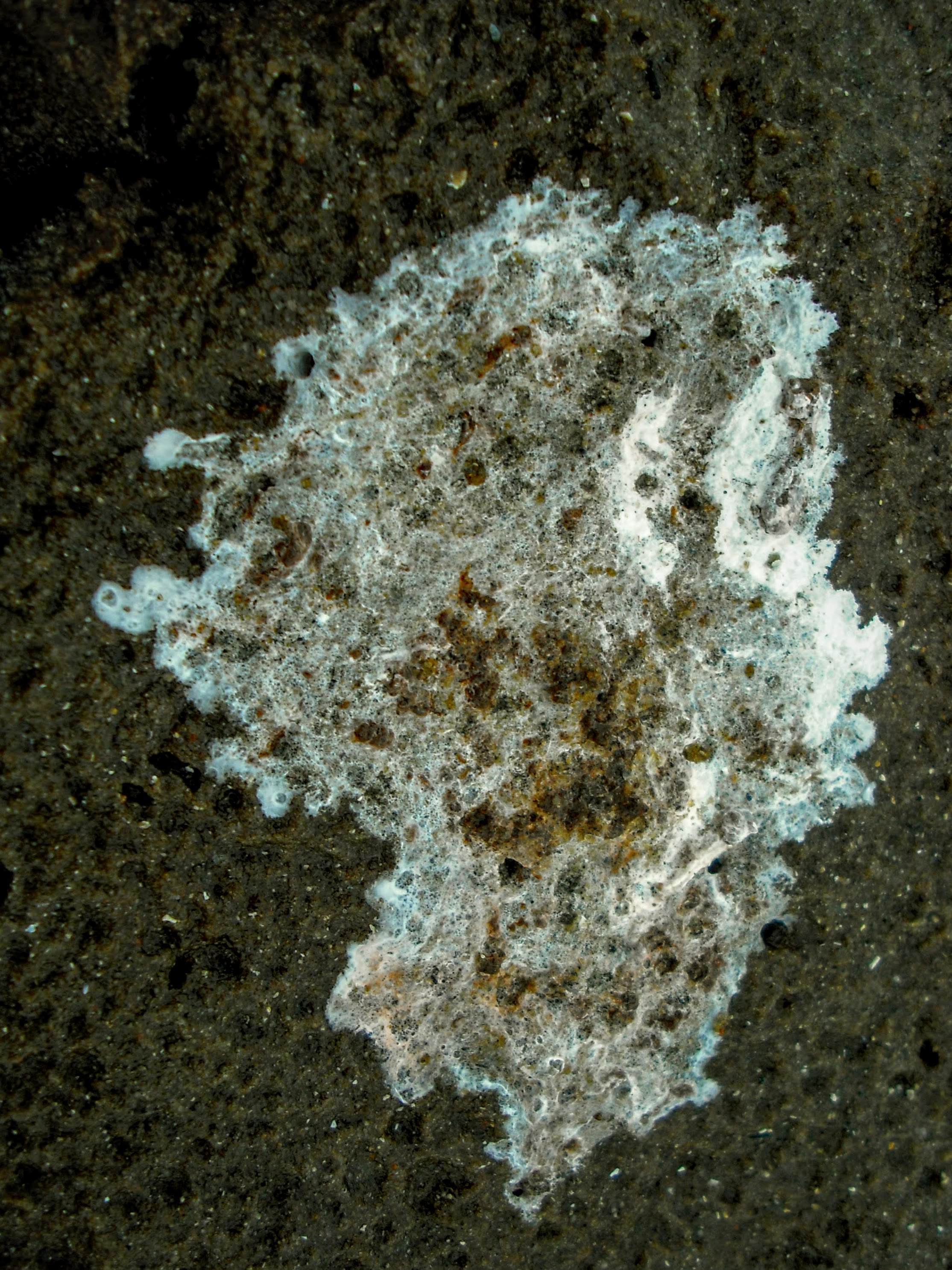 DSCF4897.jpg