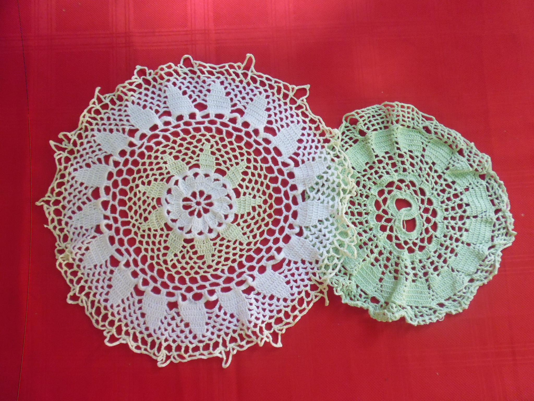 P1130221.JPG