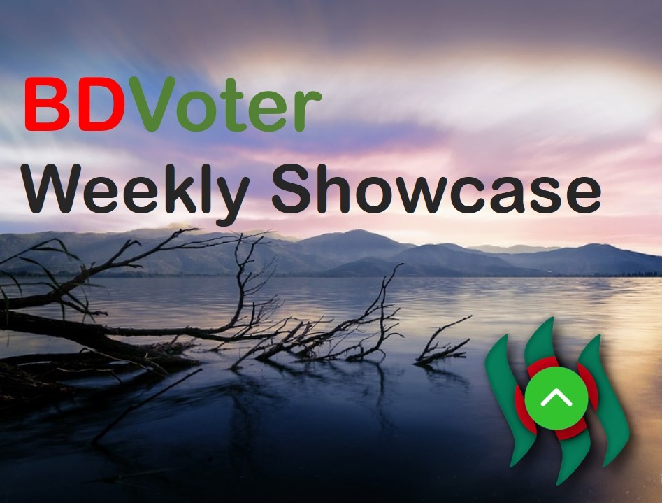 BDVoter Curation.jpg