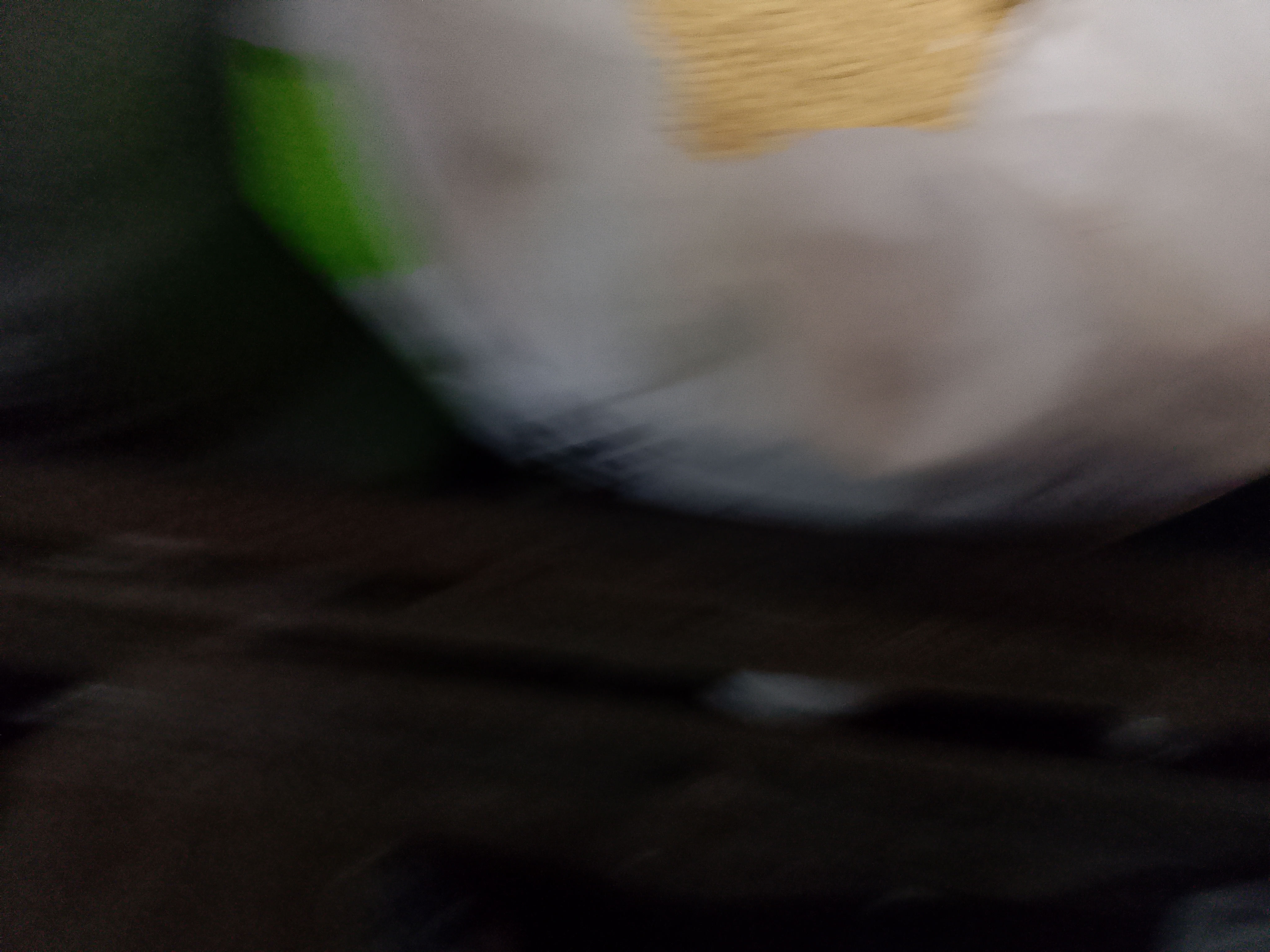 1000062491.jpg