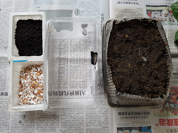 Usecompost06.jpg