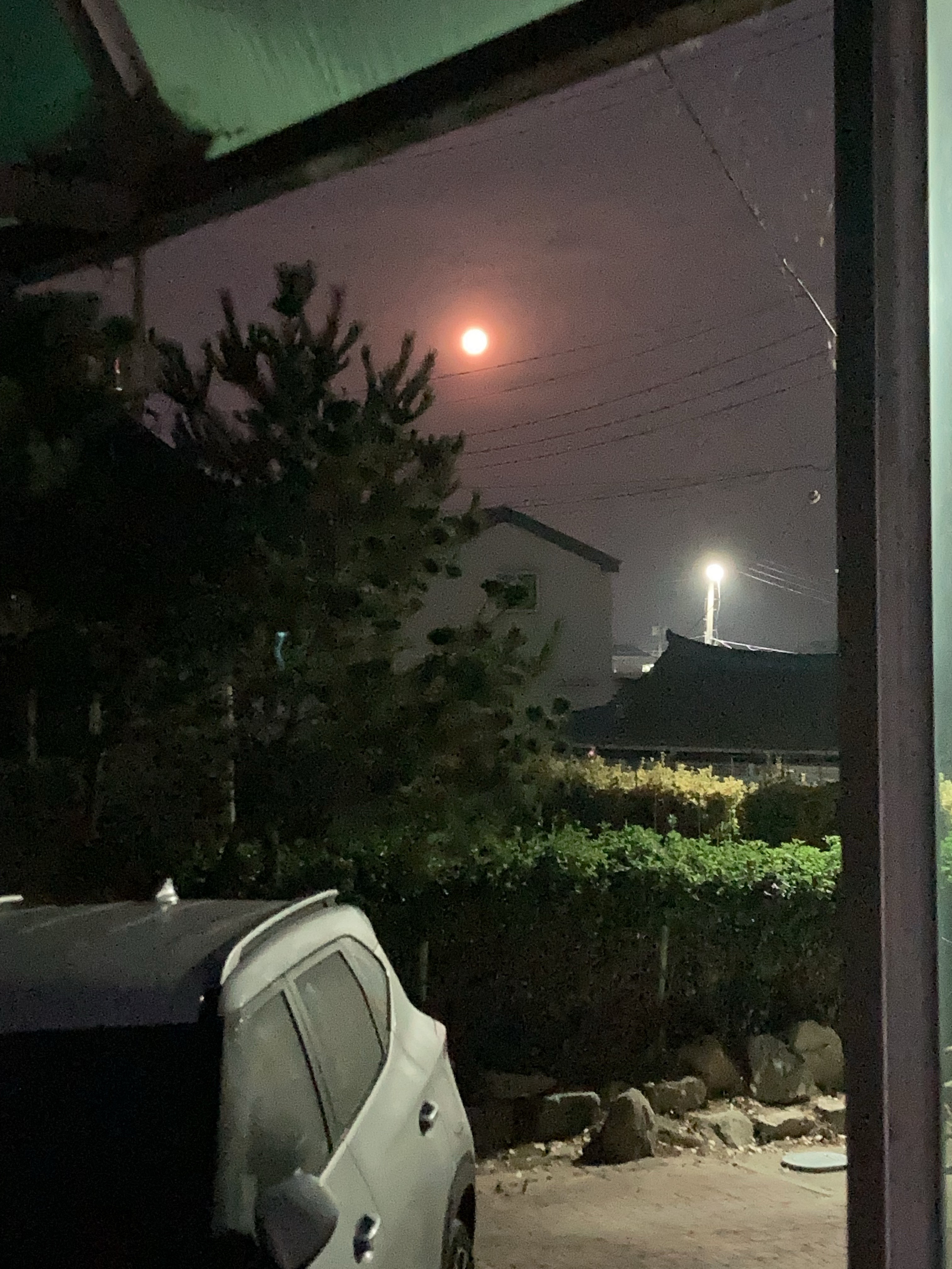 KakaoTalk_20210625_102857162.jpg