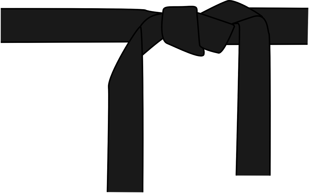 karate-297878_1280.png
