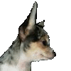 https://cdn.steemitimages.com/DQmTr5rKZASJRxbVYD23eir66yhc4pGRB3AGEjHtFeJBt6j/test%203.png