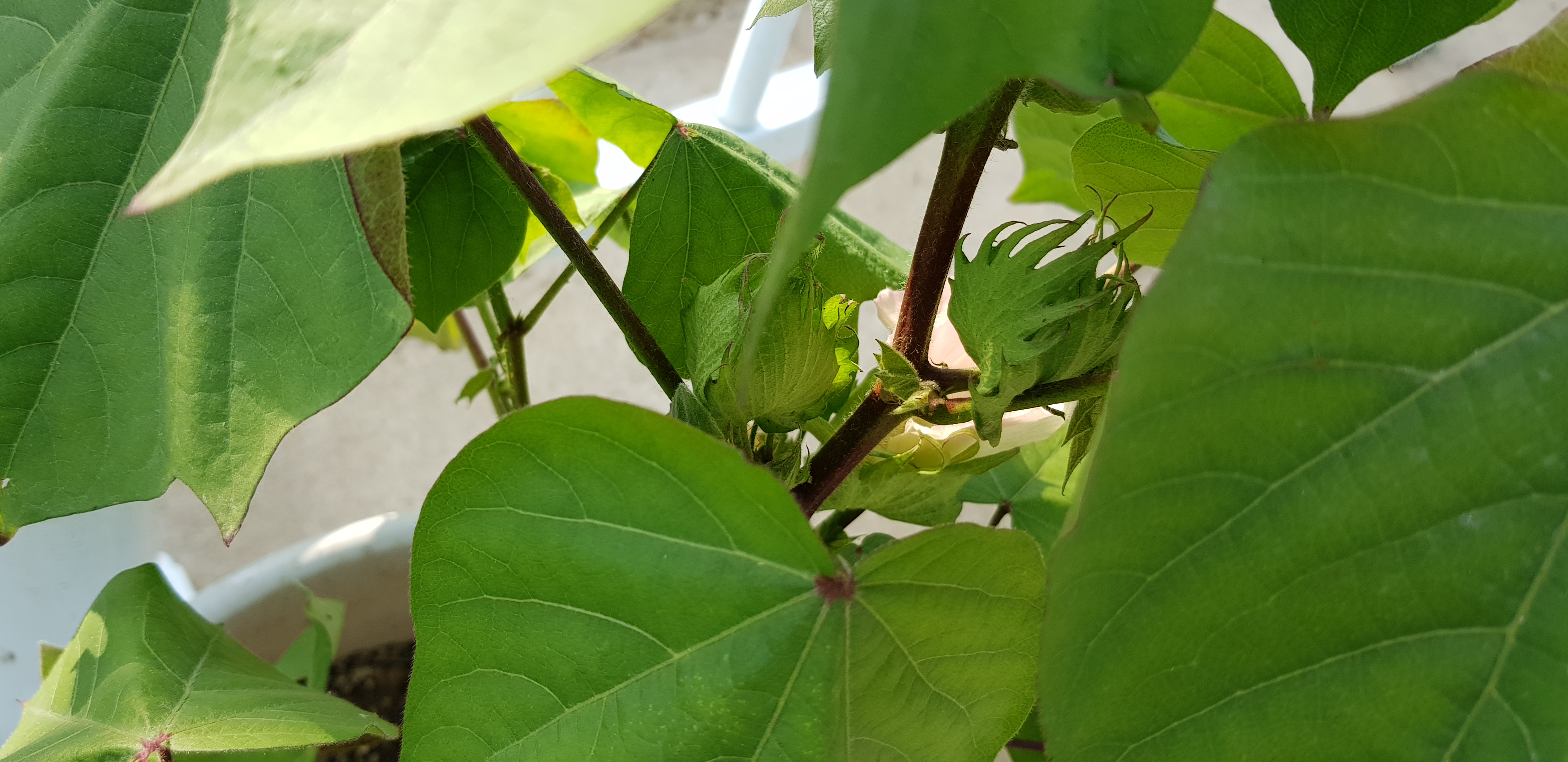 20180722_172356.jpg