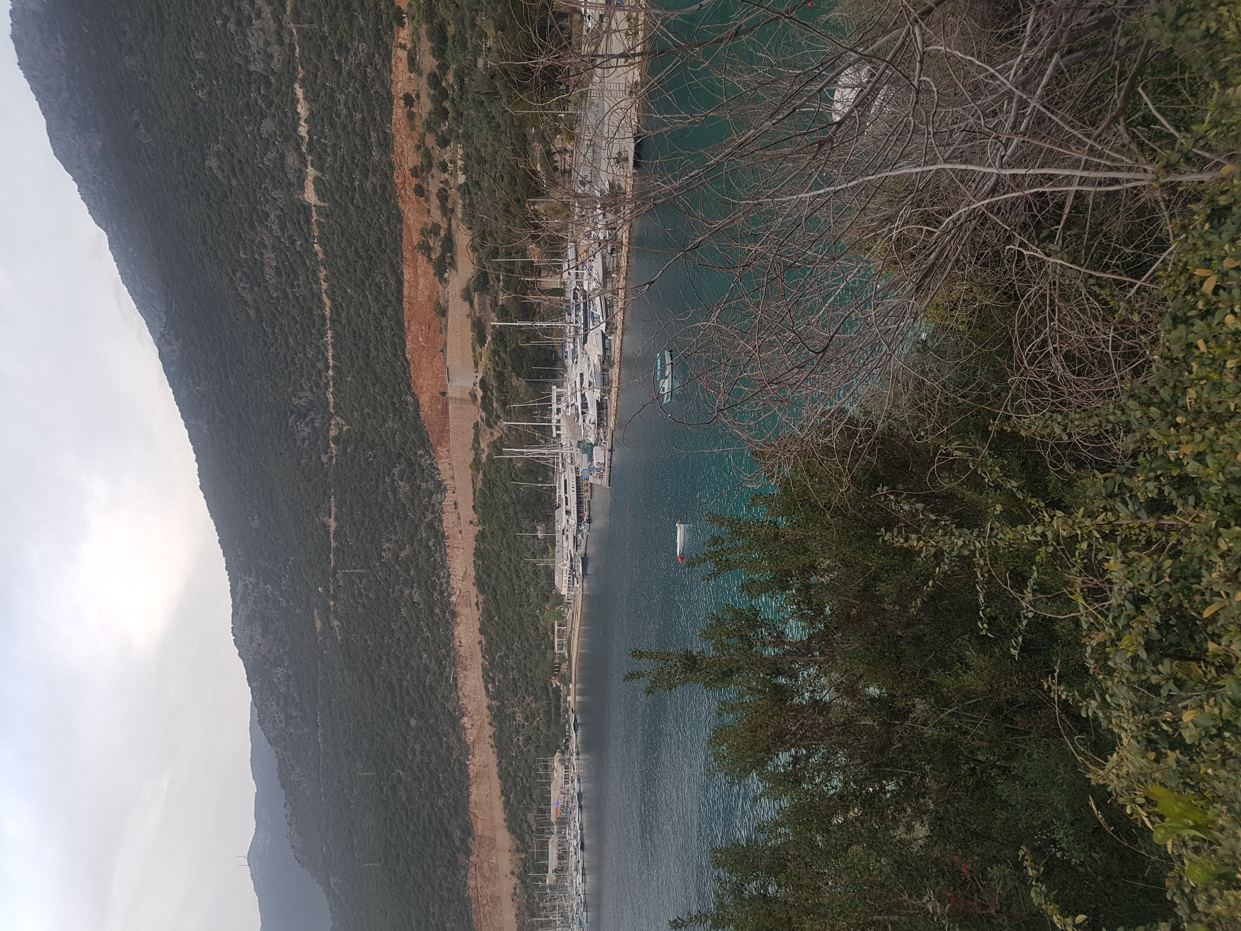 20220409_190546.jpg