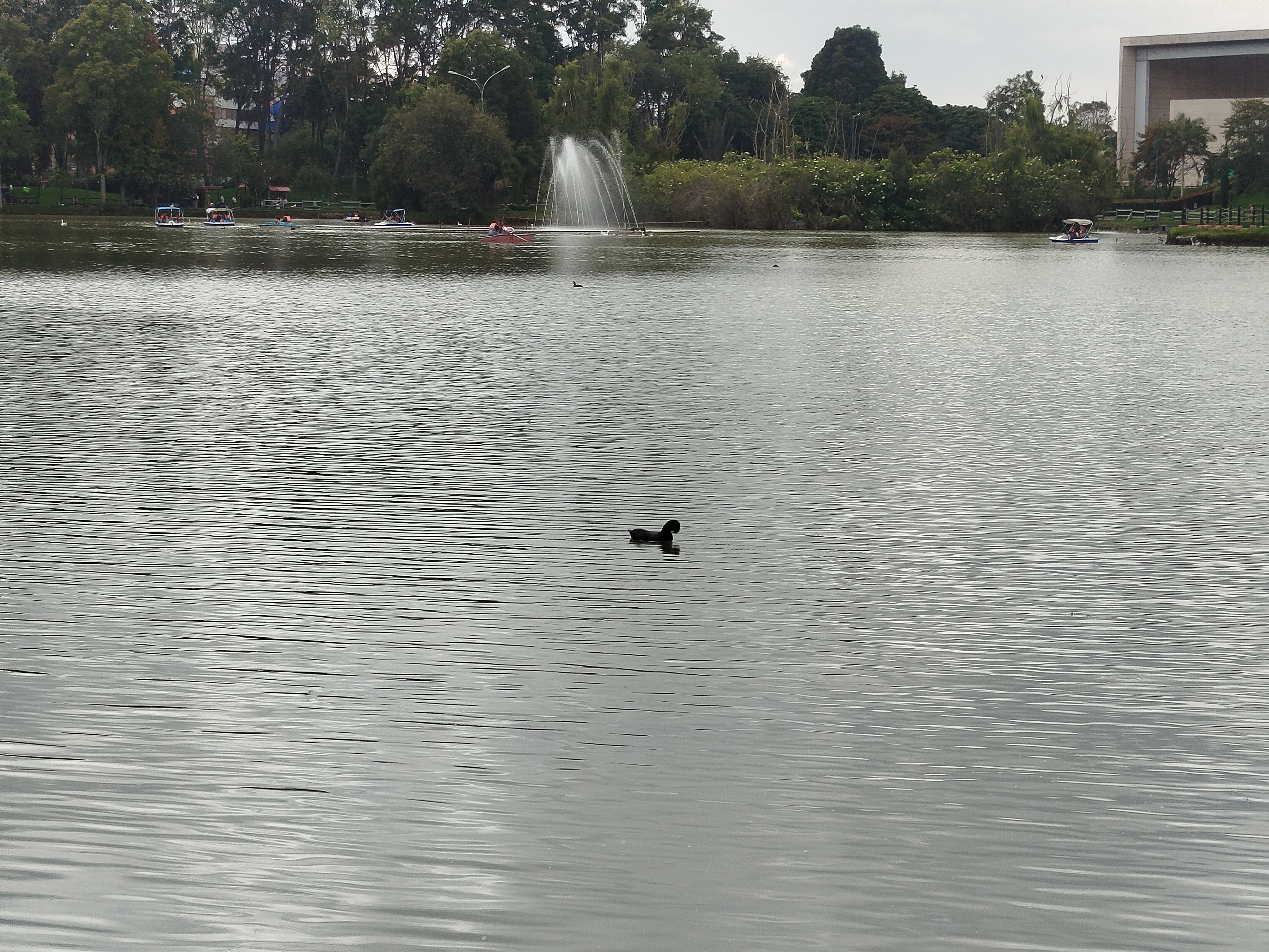 IMG_20260103_120809.jpg