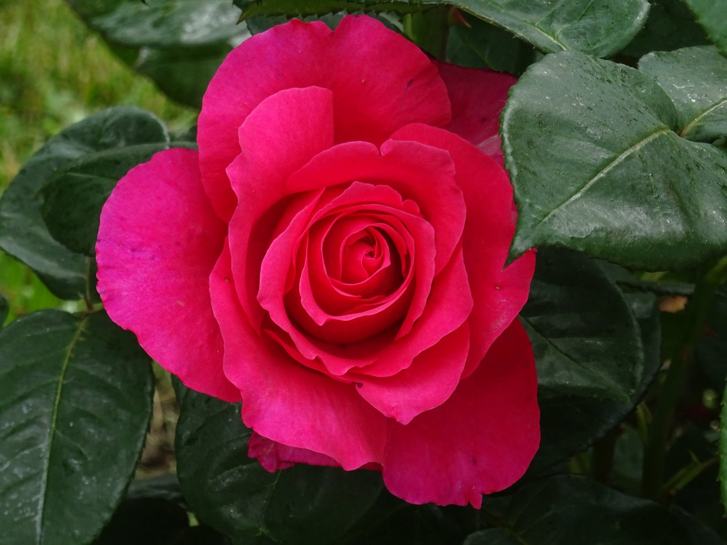 DSC07585.JPG