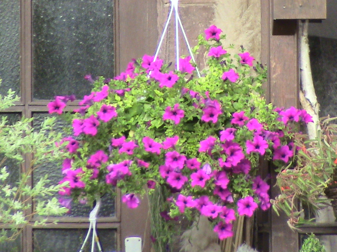DSC01585.JPG