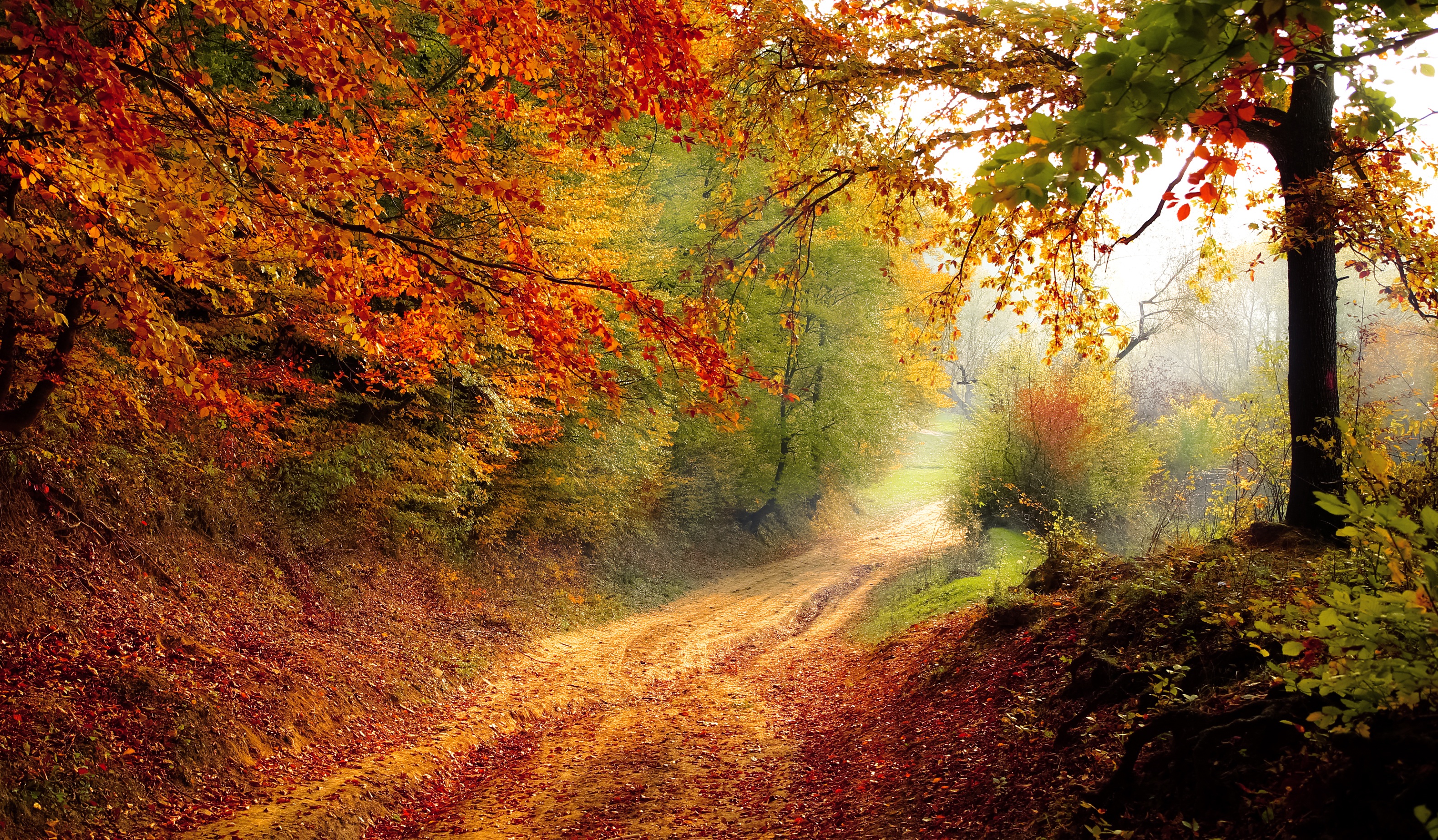 road-1072823.jpg